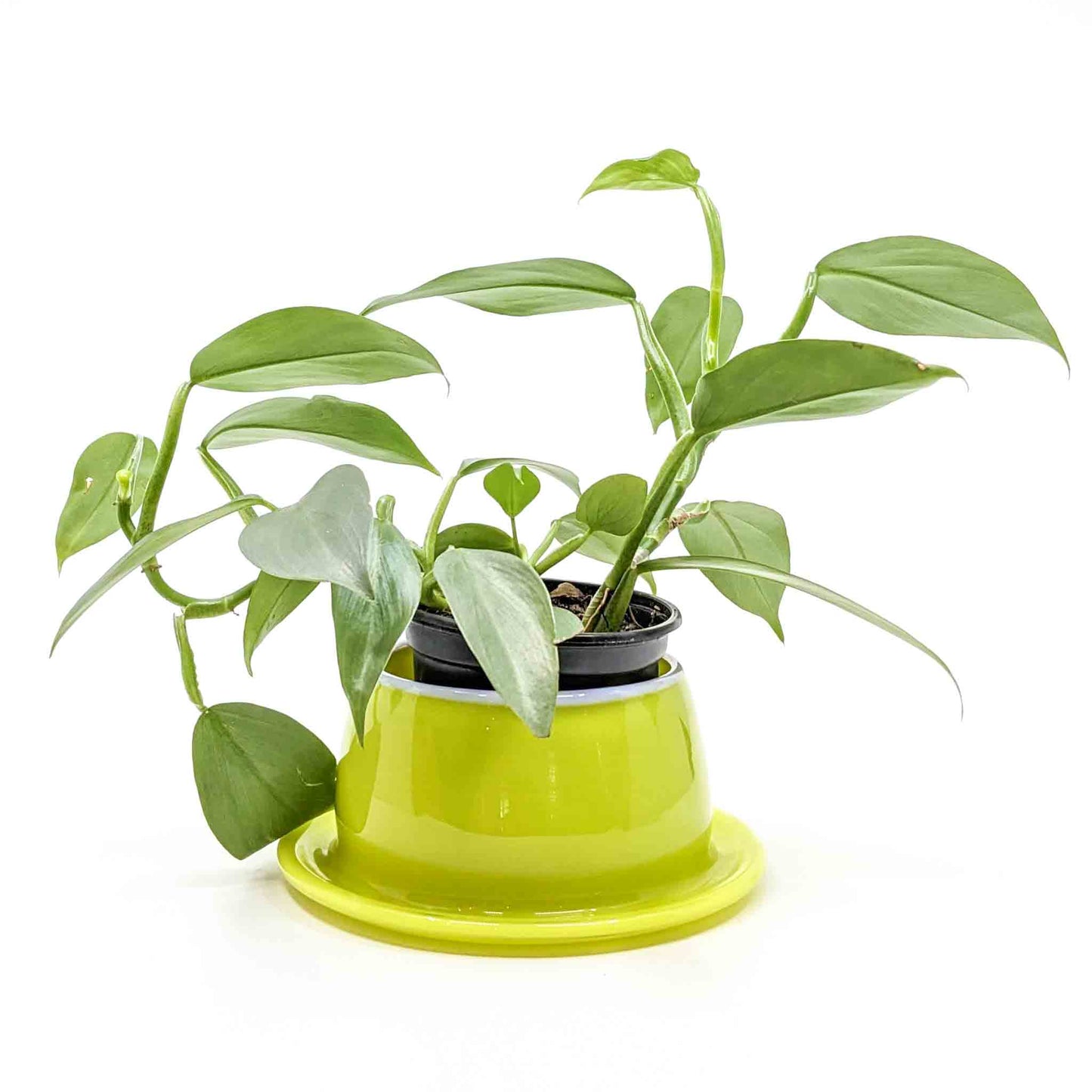 Large Planter