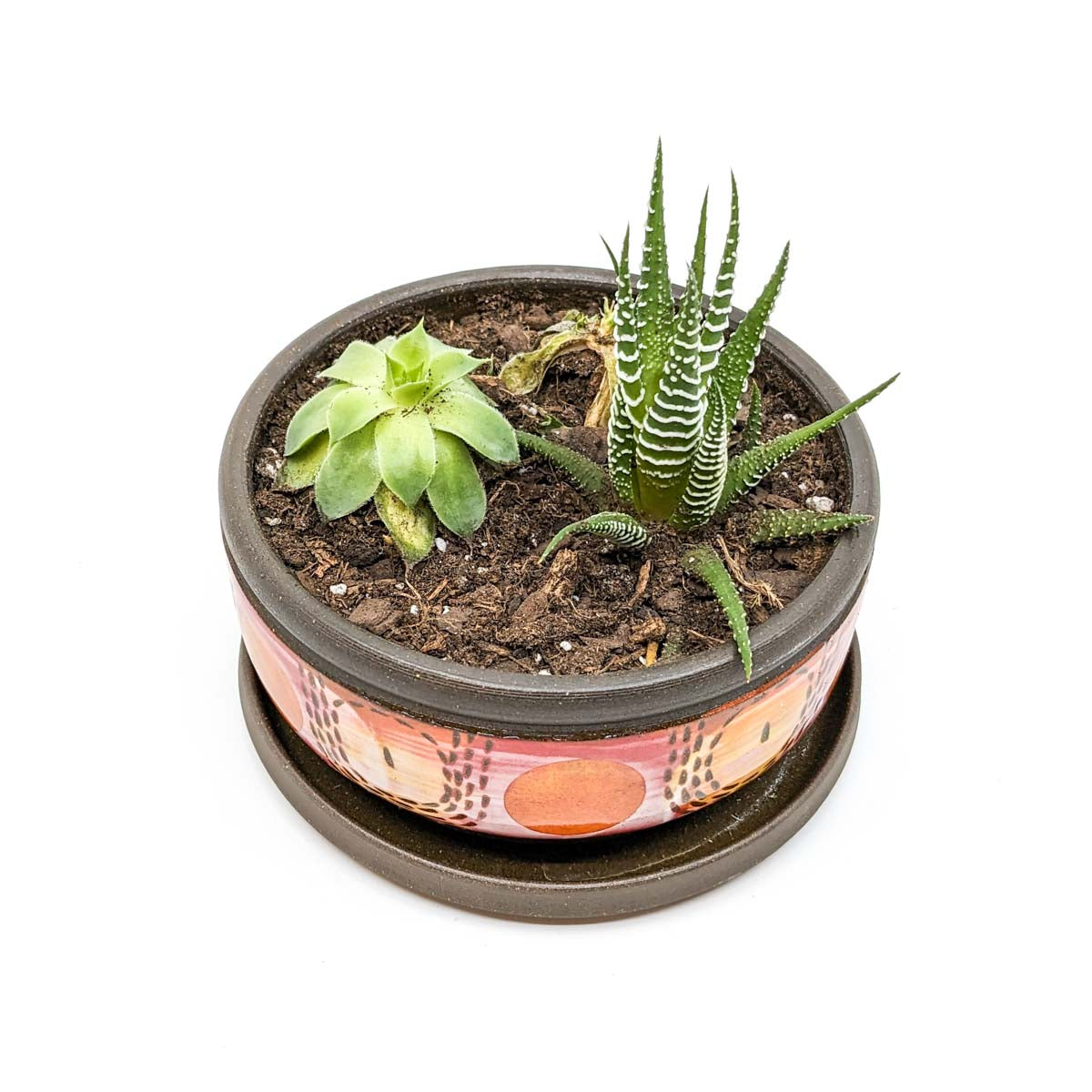 Planters