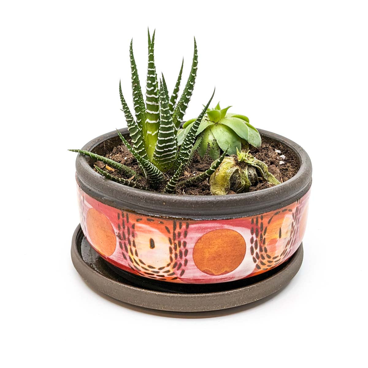 Planters