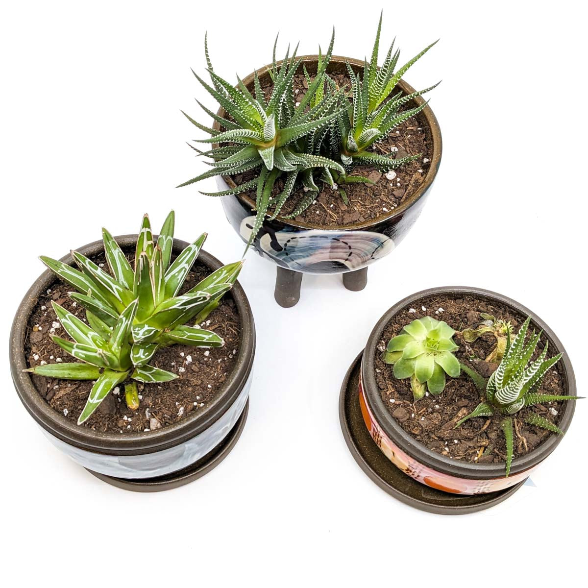 Planters