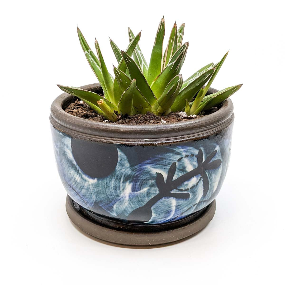 Planters