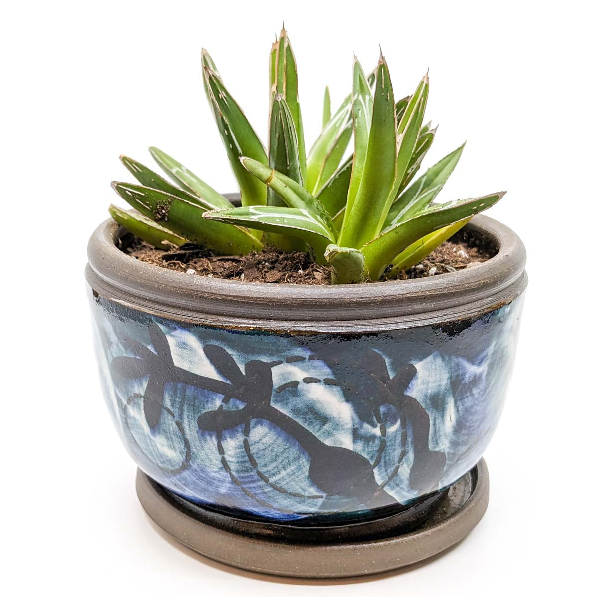 Planters