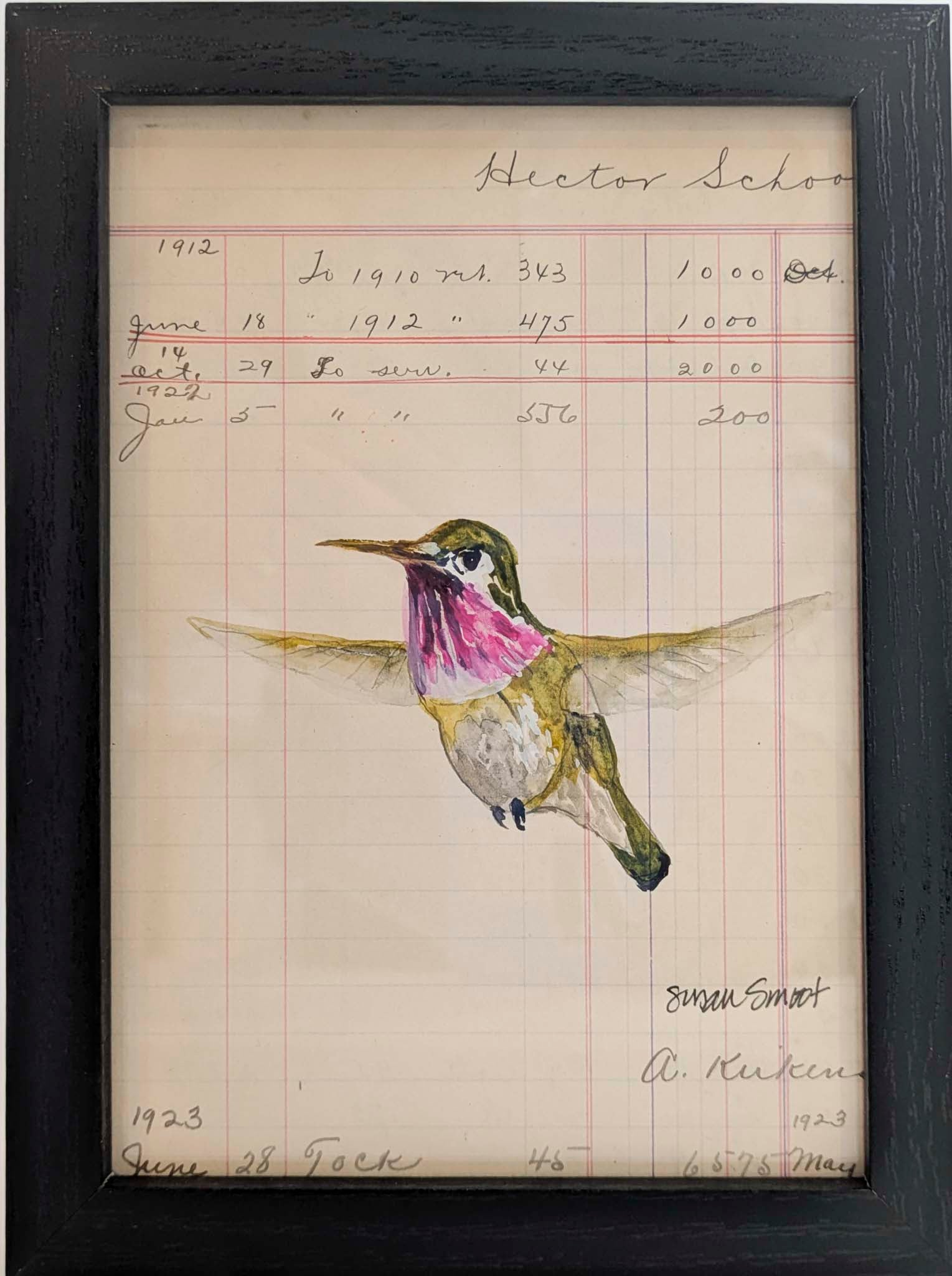 Calliope Hummingbird