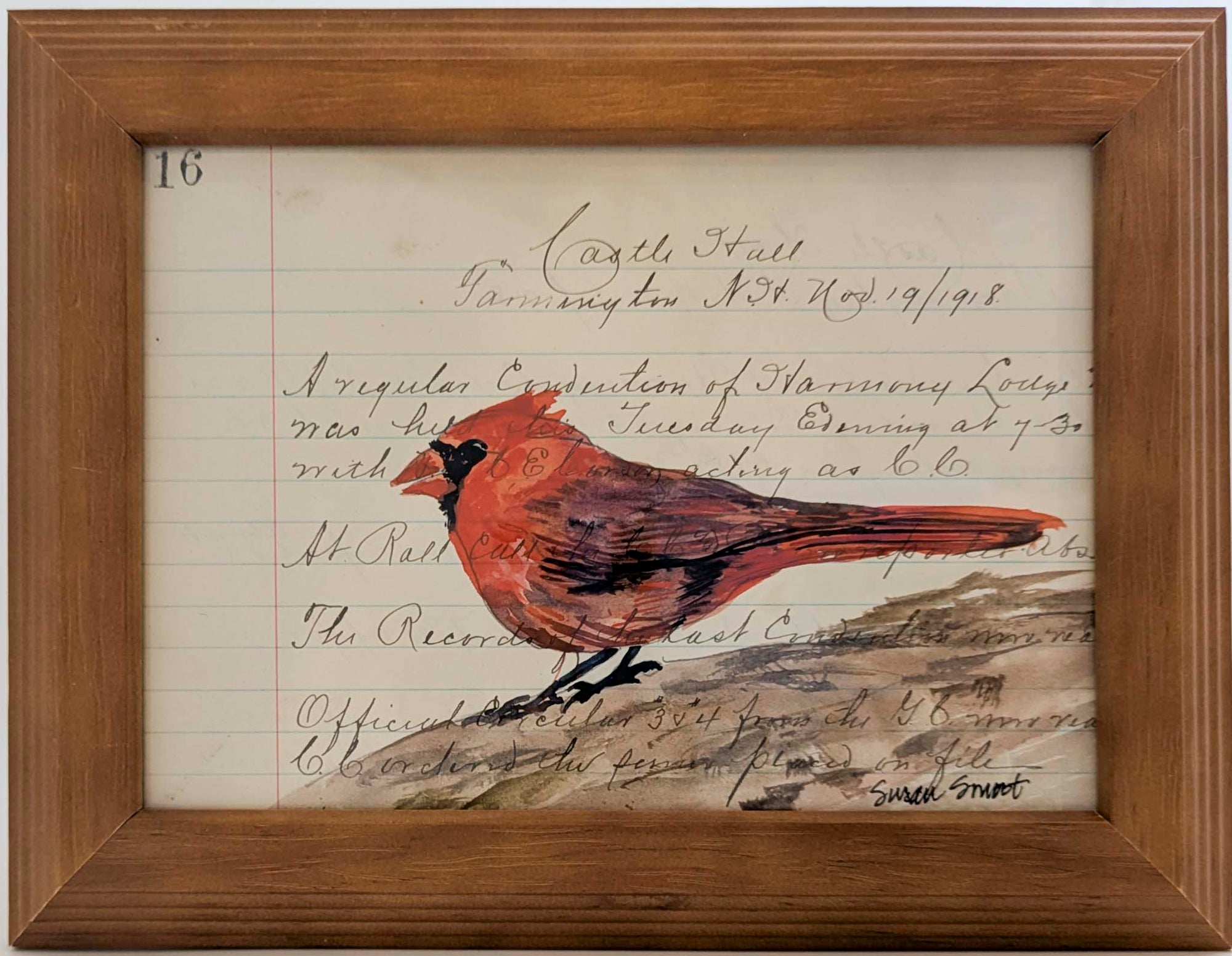 Northern Cardinal