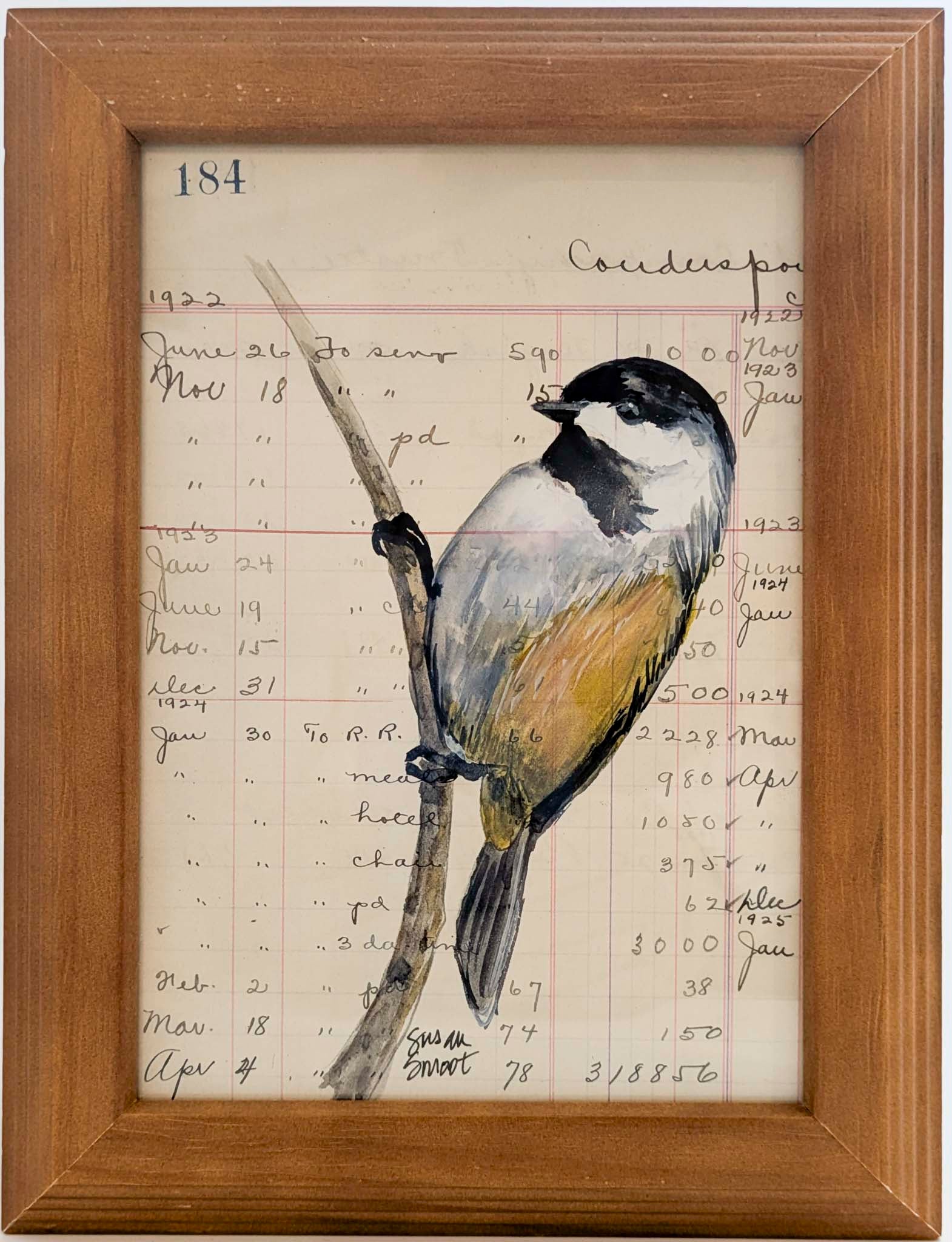 Carolina Chickadee