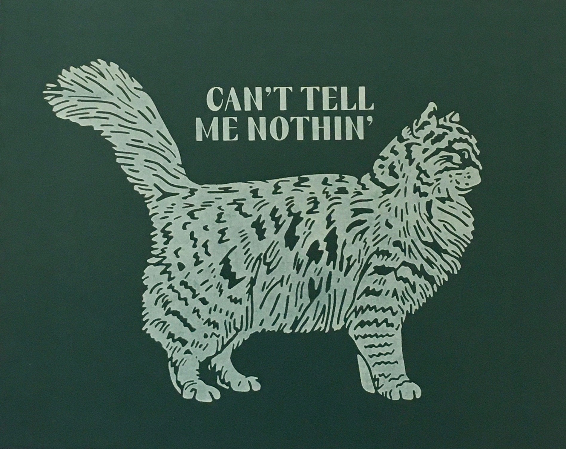 Can't Tell Me Nothin'