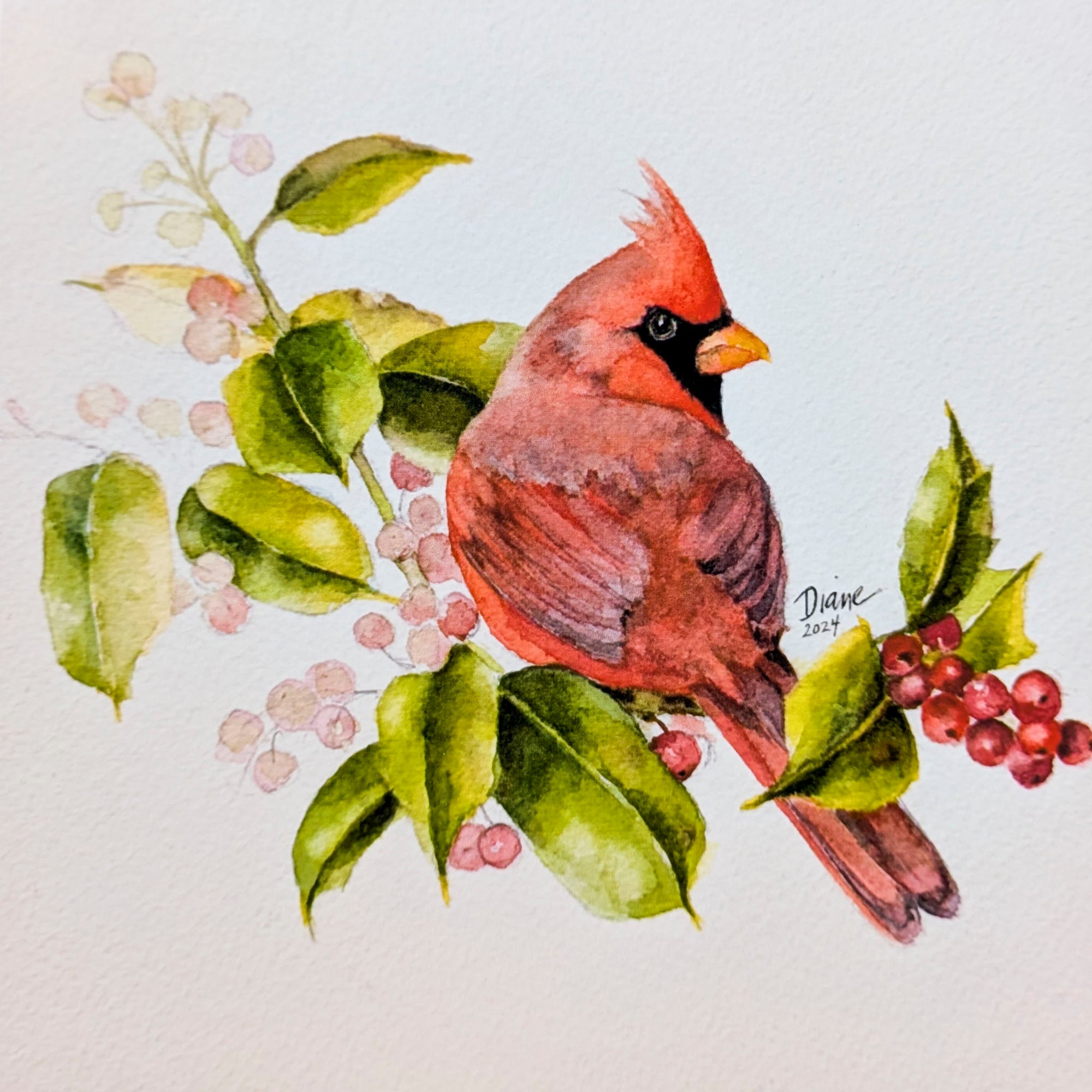 Red Cardinal