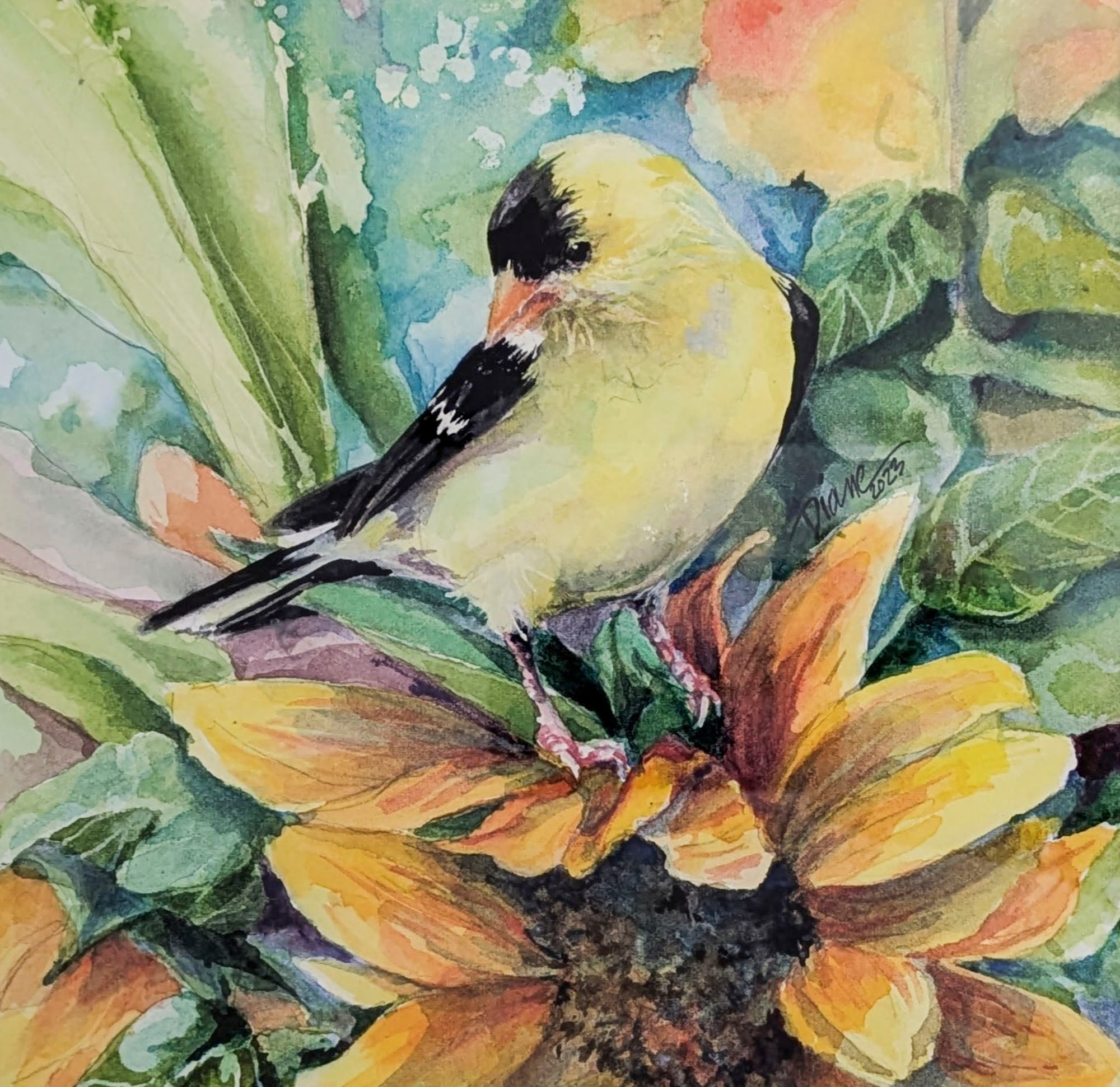 Yellow Finch With Sunflower