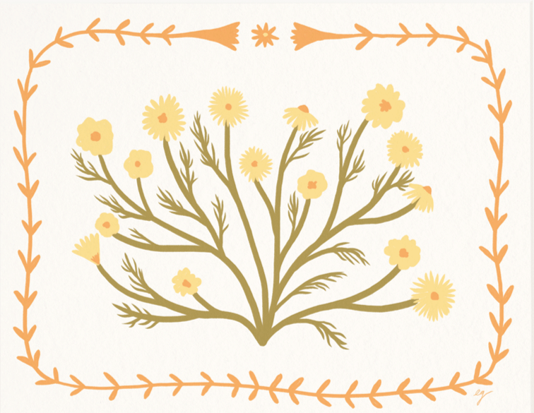 Chamomile- Print