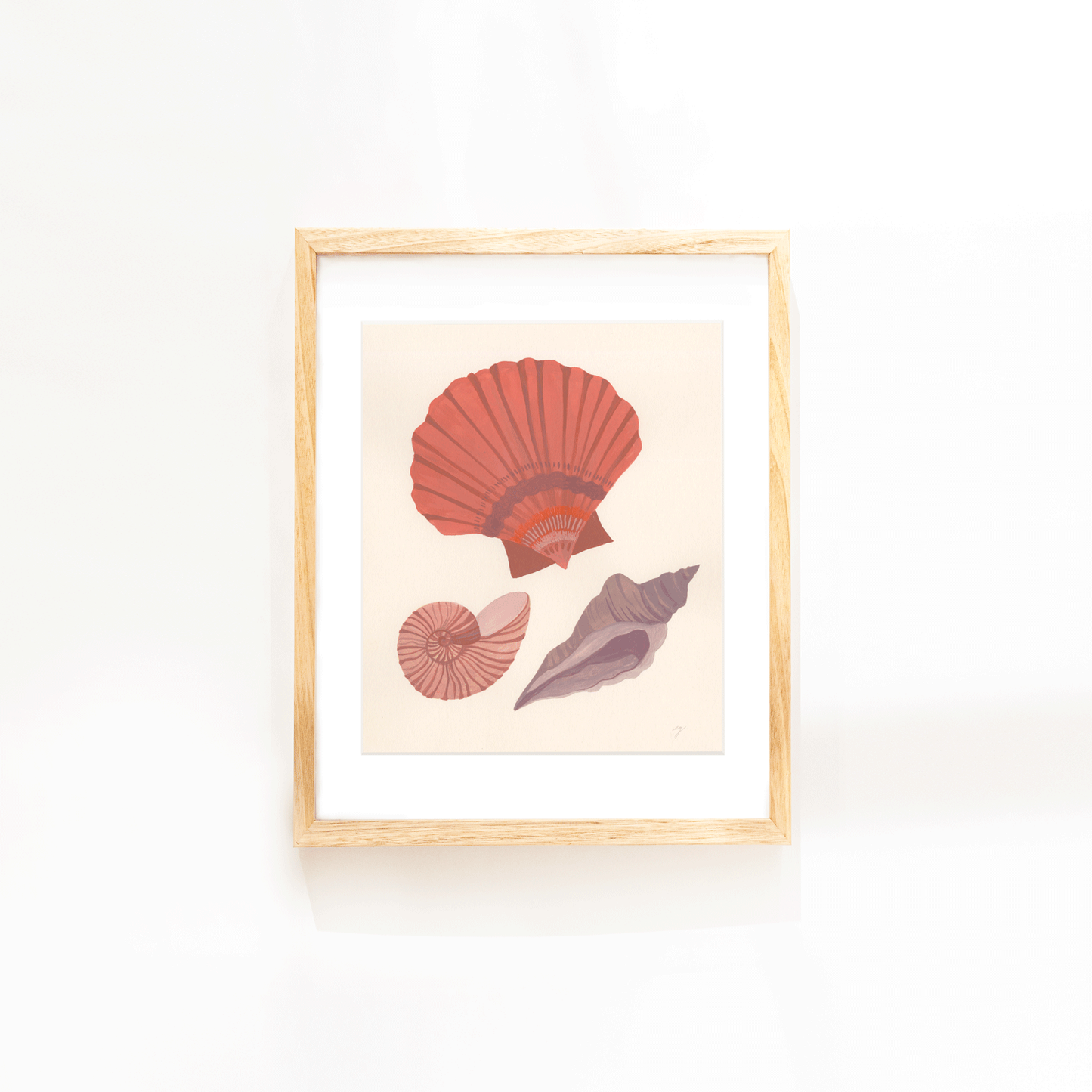 Seashell Study- Print