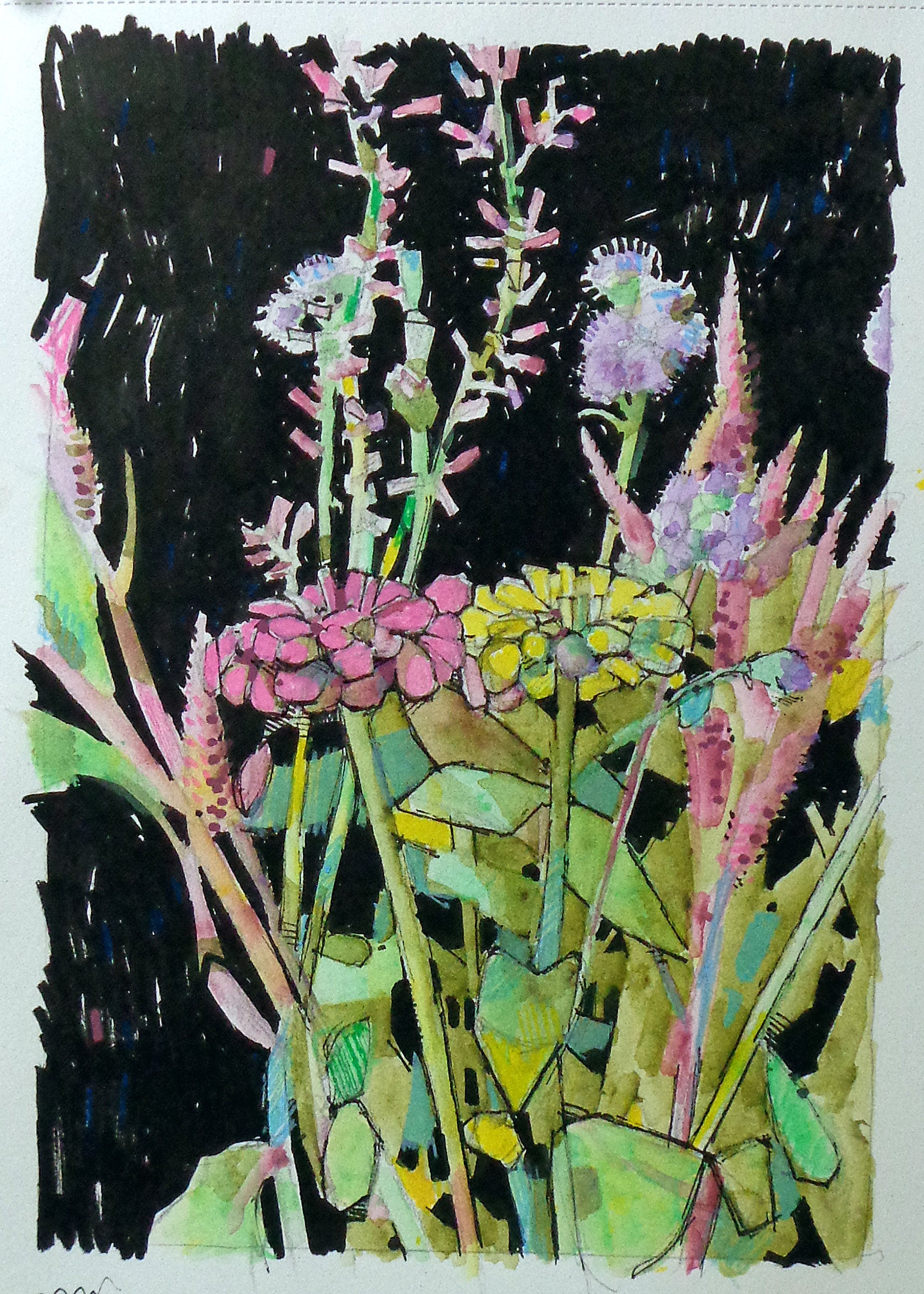 Floral Study no 17