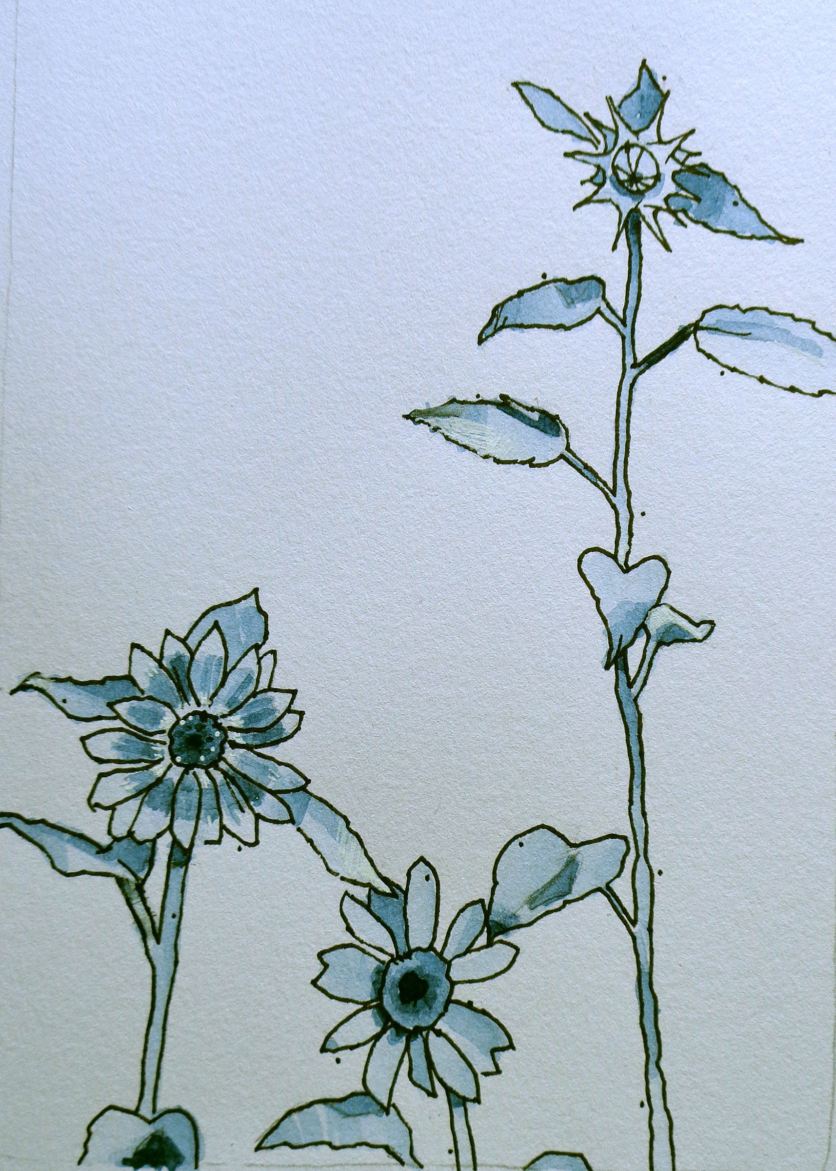 Floral Study no 18