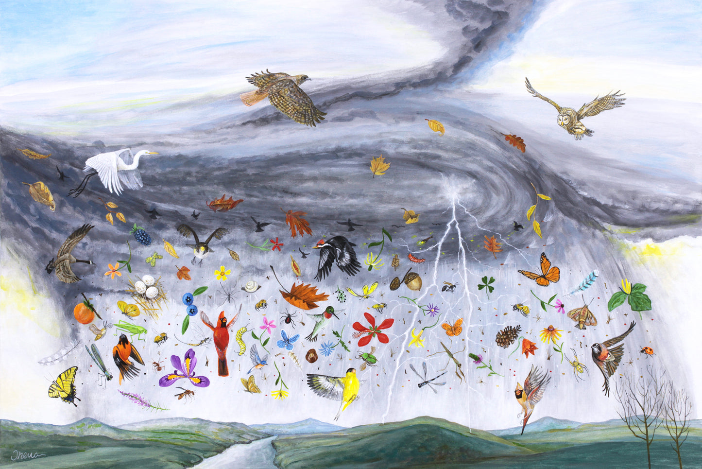 Raining Bugs, Birds, and Blooms