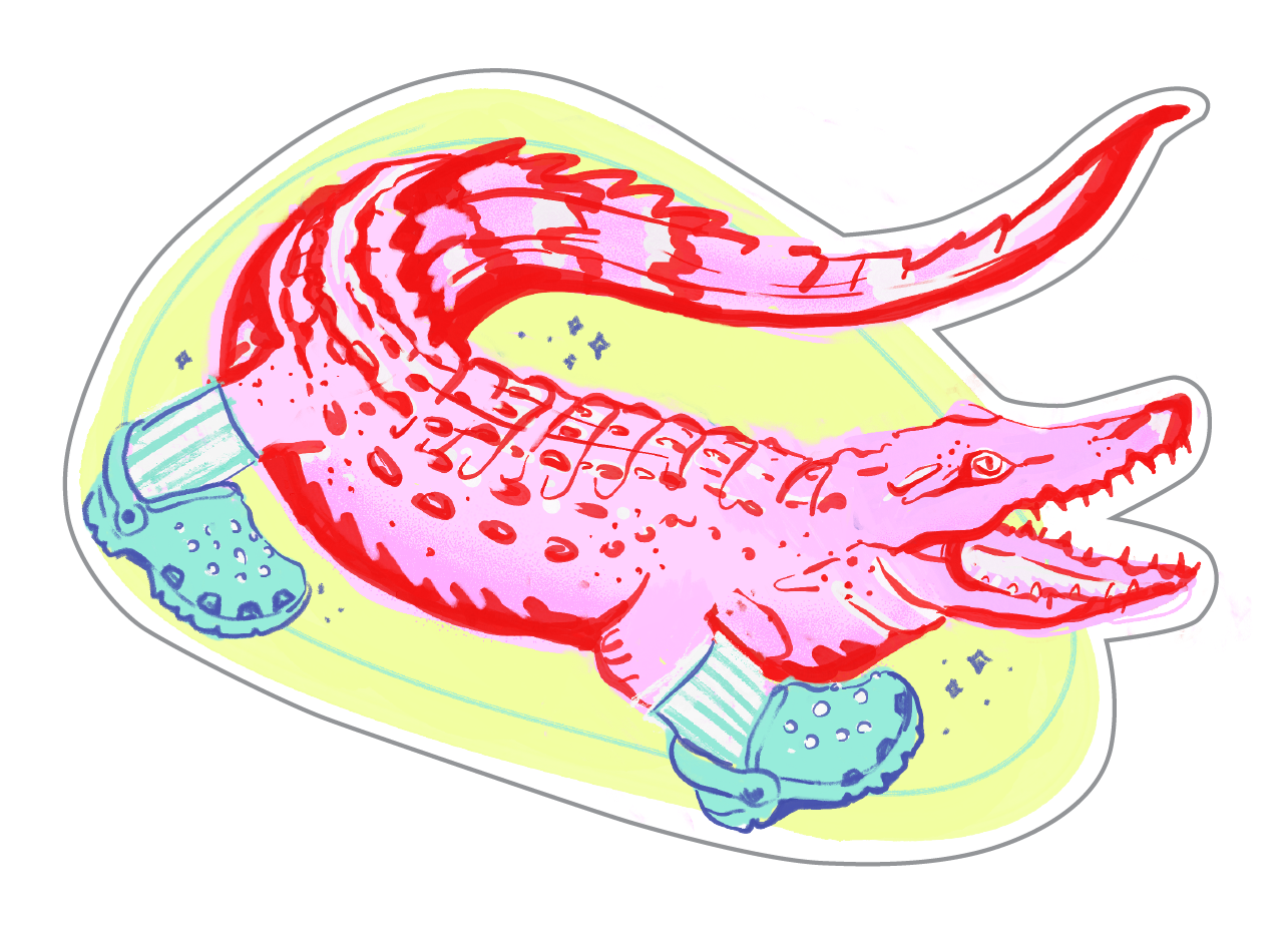Crocs in Socks Sticker VISUAL INDEX