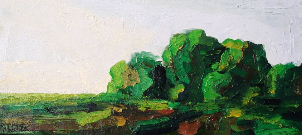 Field And Trees, Late Summer, 2009