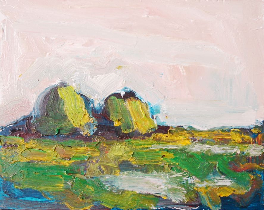 Marsh Under a Late June Sky