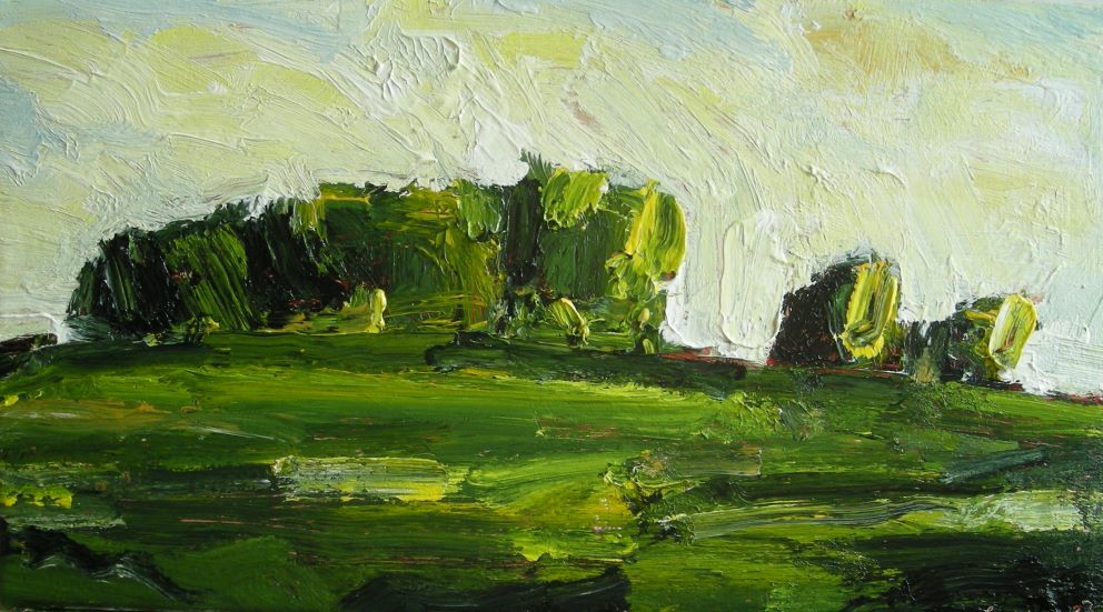Pasture After Rain
