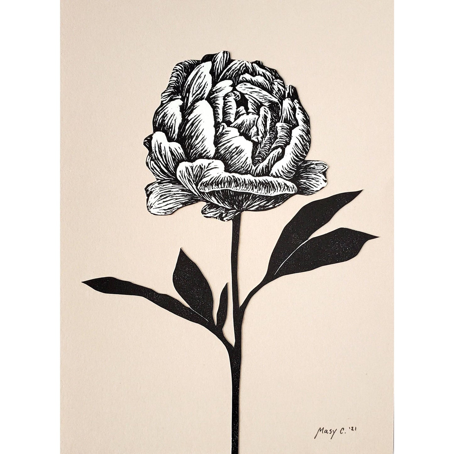 Single Peony