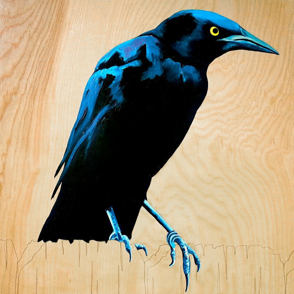 Carly Weaver - VISUAL INDEX