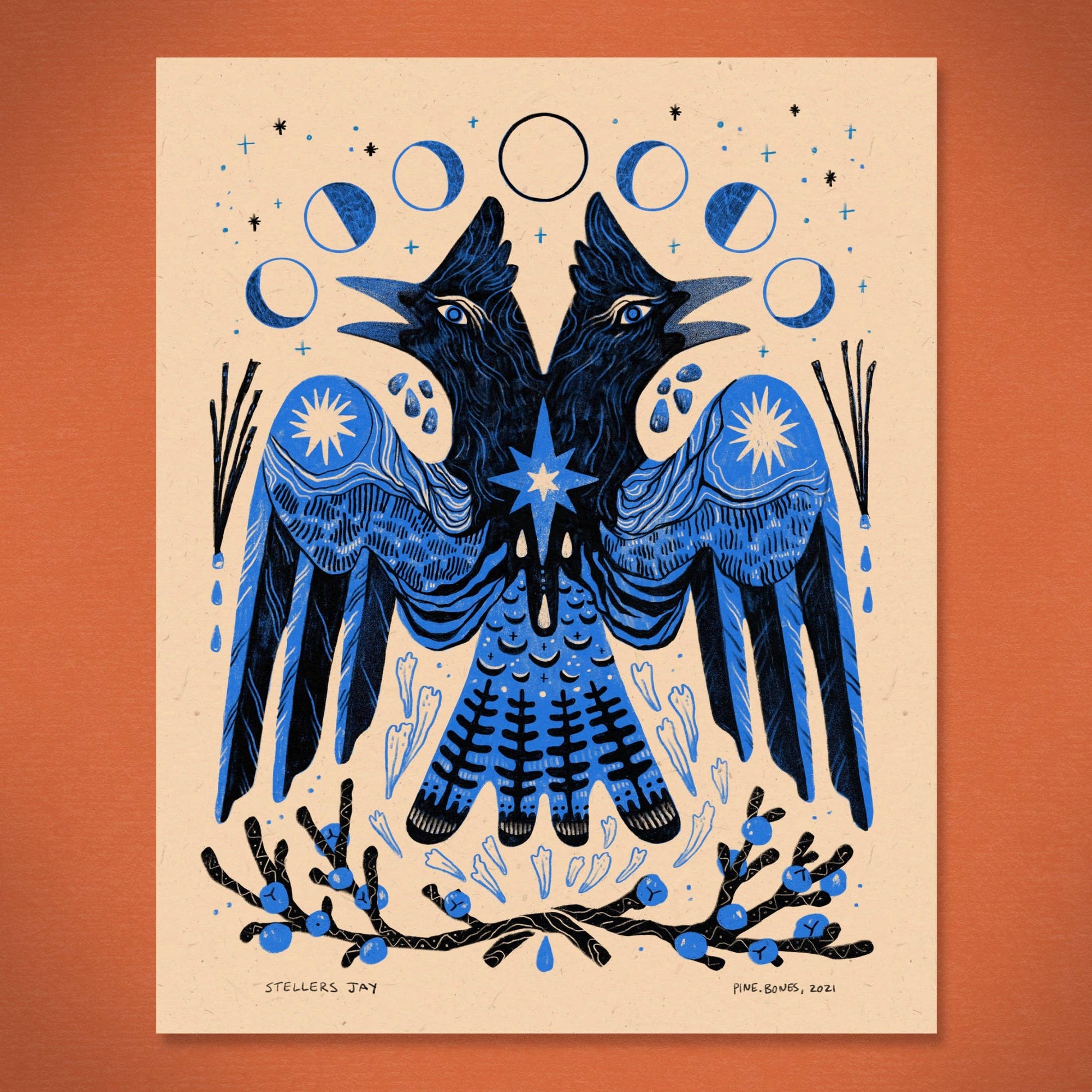 Stellers Jay - 8x10 Nature Wilderness Art Print 