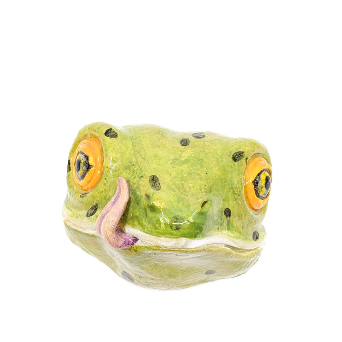 Frog Head