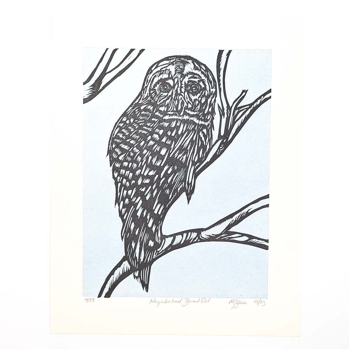Neighborhood Barned Owl- Print