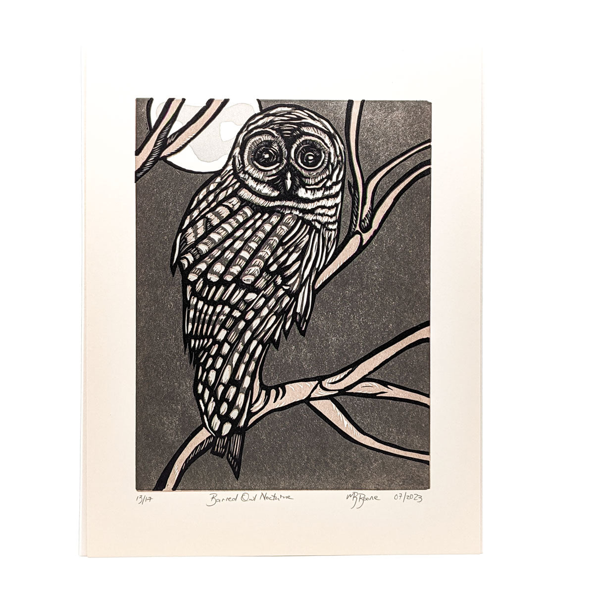 Neighborhood Barned Owl- Print