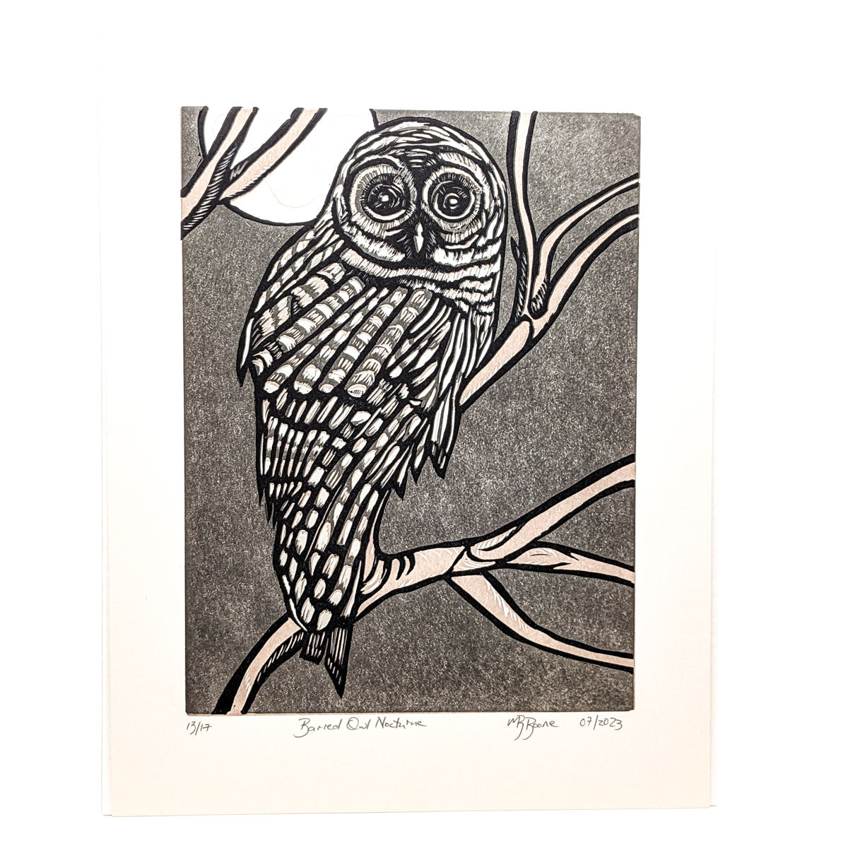 Neighborhood Barned Owl- Print