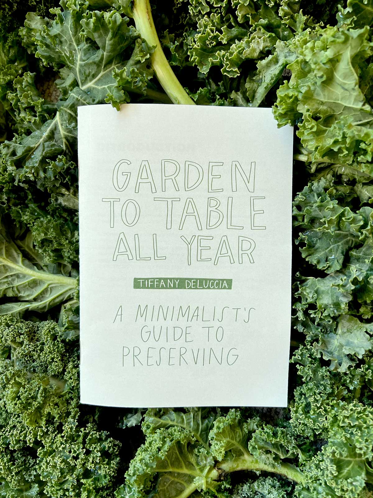 Minimalist Canning & Preserving Zine – Garden to Table