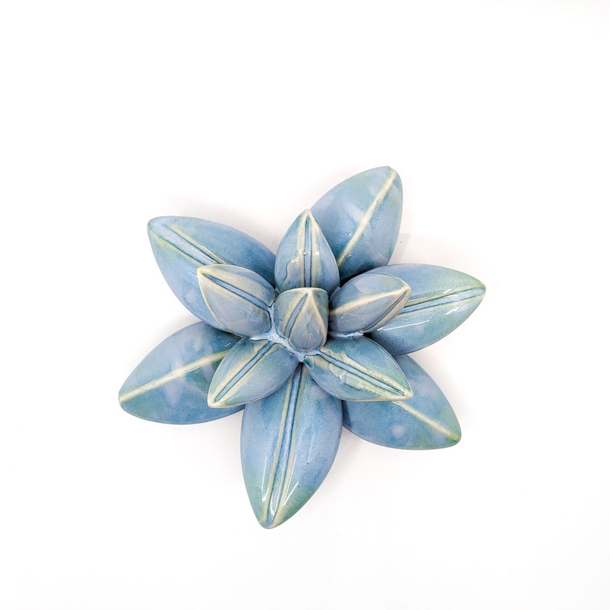 April Cannon - Medium Wallflower - Split Leaf Wallflower (Blue) - VISUAL INDEX