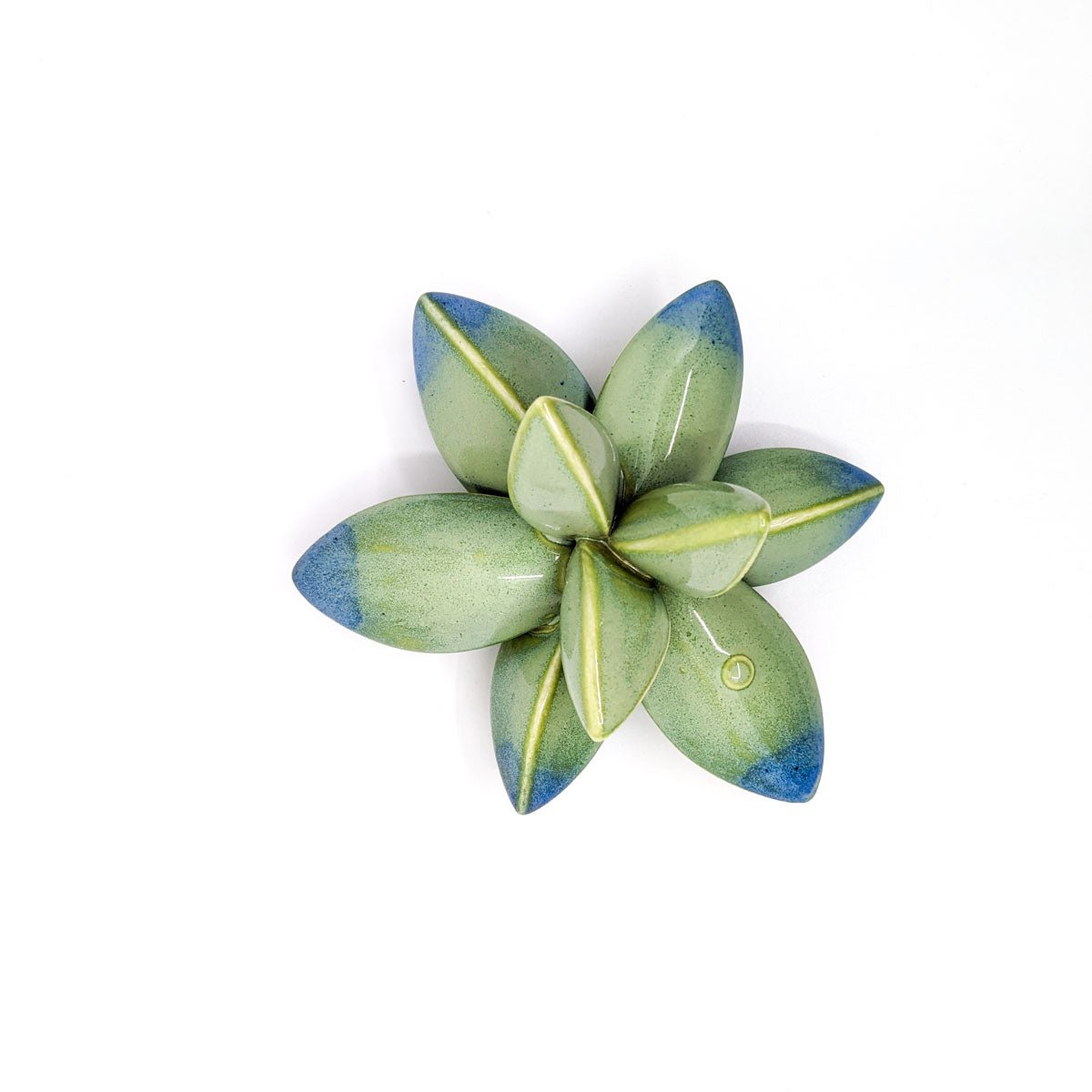 April Cannon - Mini Wallflower - Green with Blue Tips - VISUAL INDEX