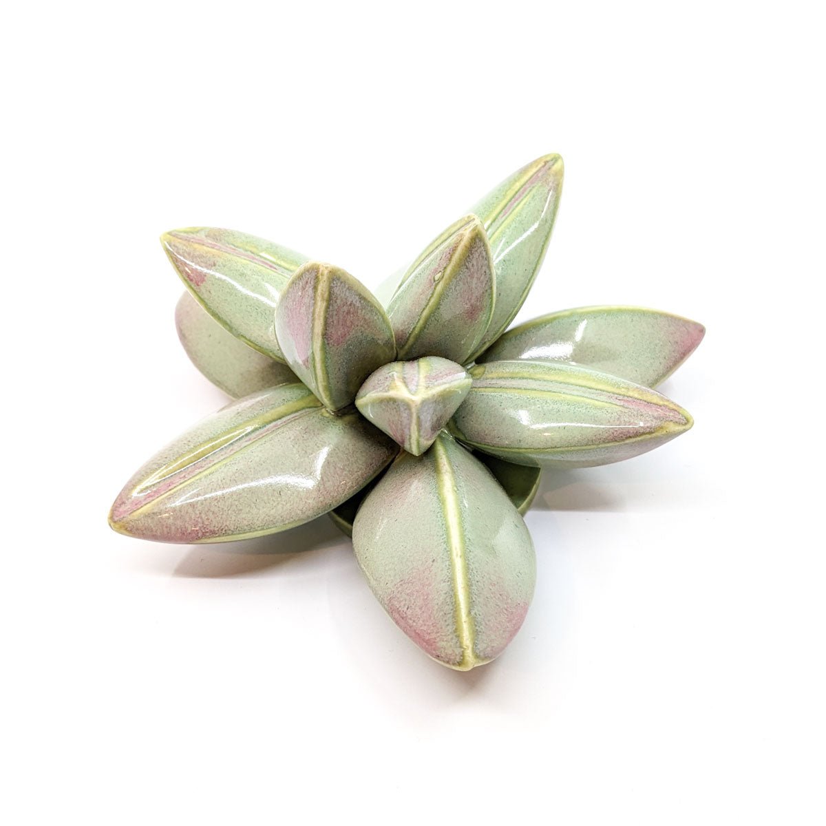 April Cannon - Medium Wallflower - Shiny Green - VISUAL INDEX