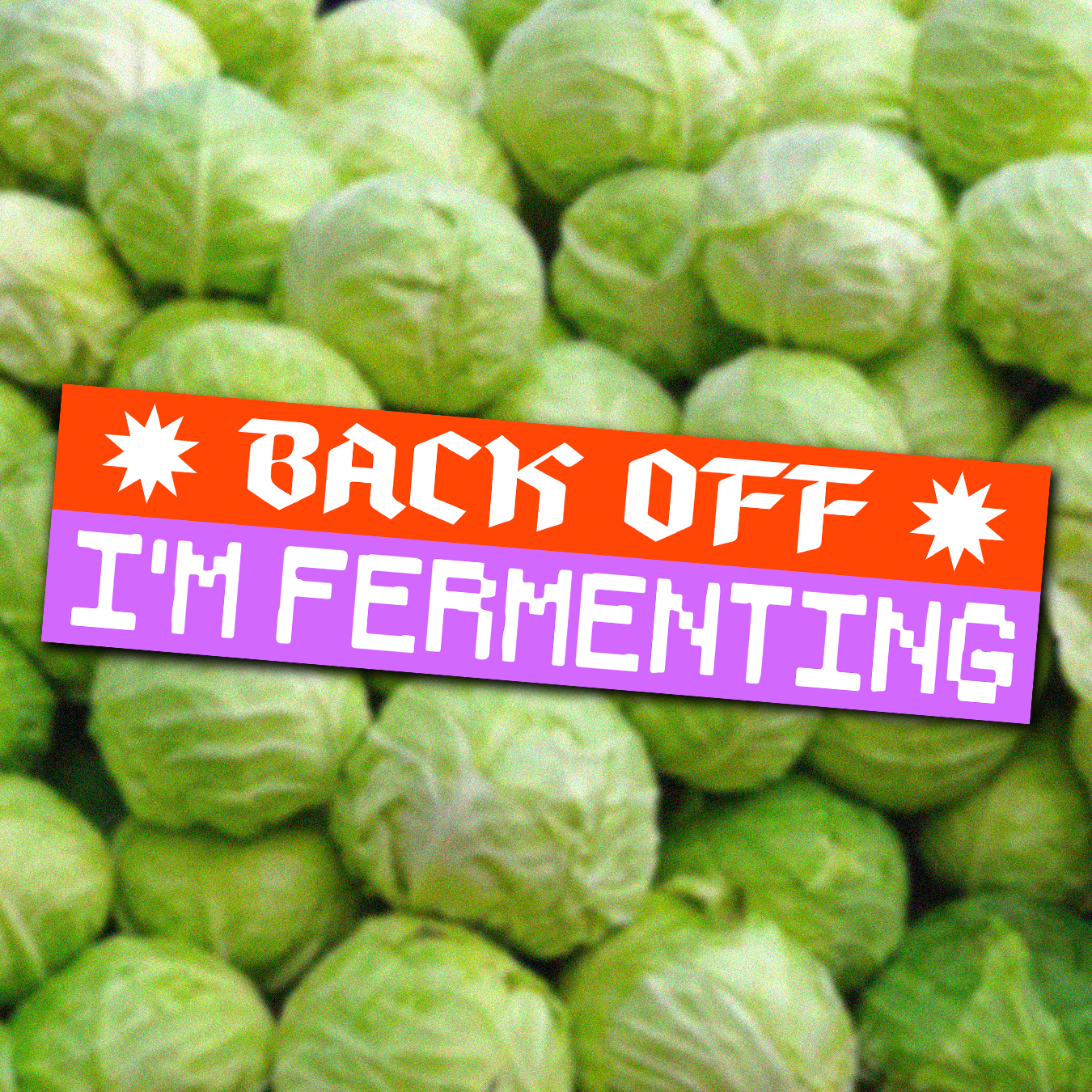 Back Off! I'm Fermenting Bumper Sticker