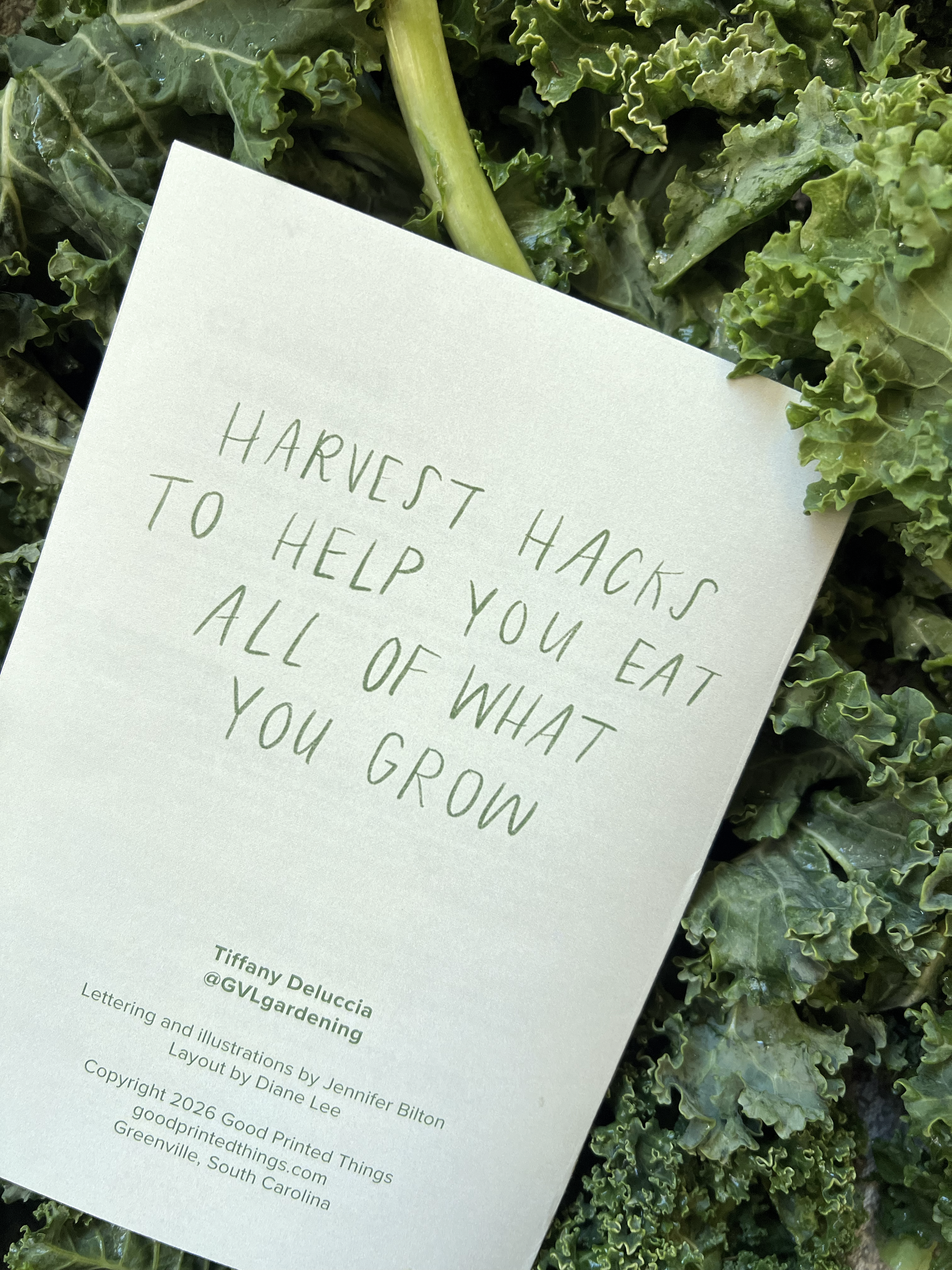 Minimalist Canning & Preserving Zine – Garden to Table