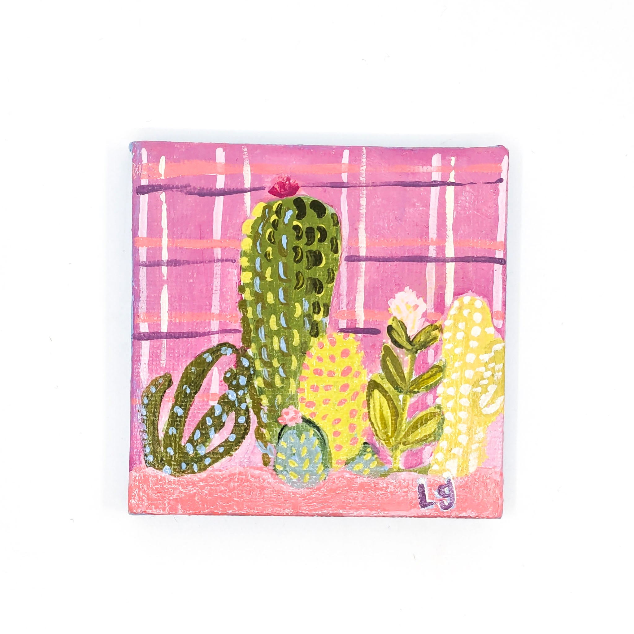 Tiny Cacti Paintings