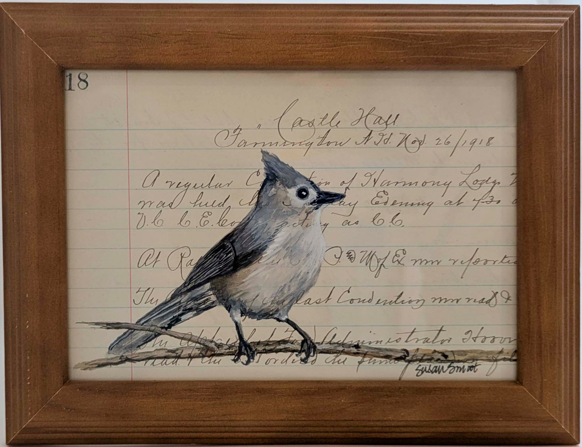 Titmouse