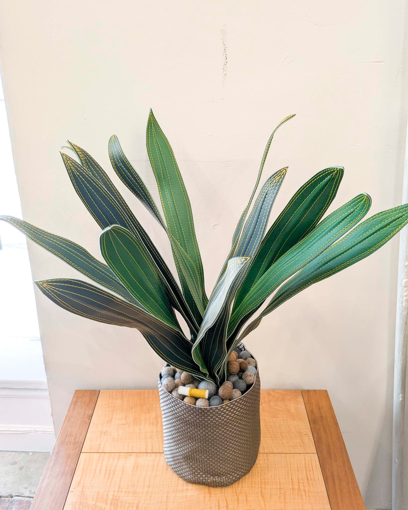 Large Fake Plant- Snake Plant (2 styles)