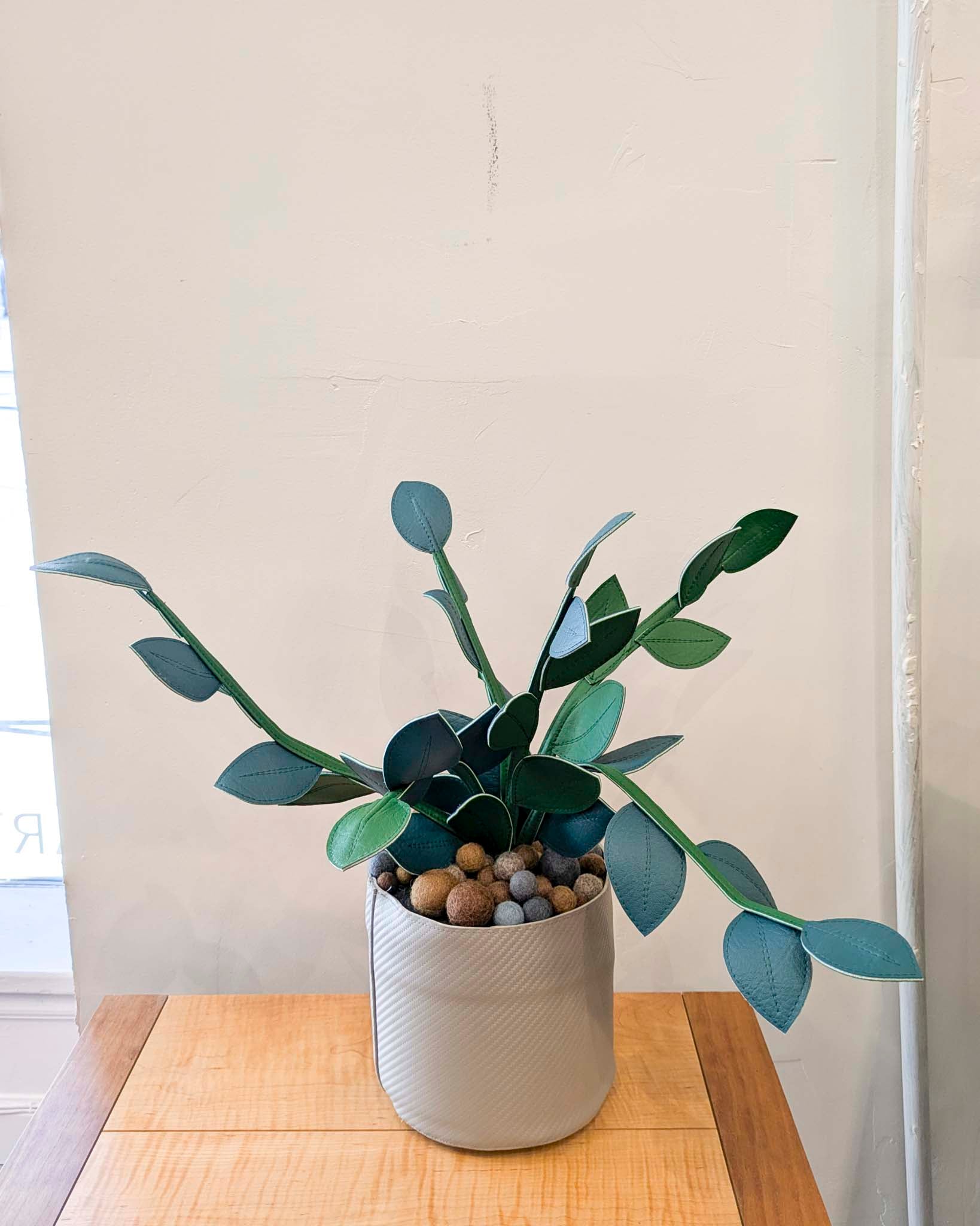 Large Fake Plant- Hoya (Gray Pot)