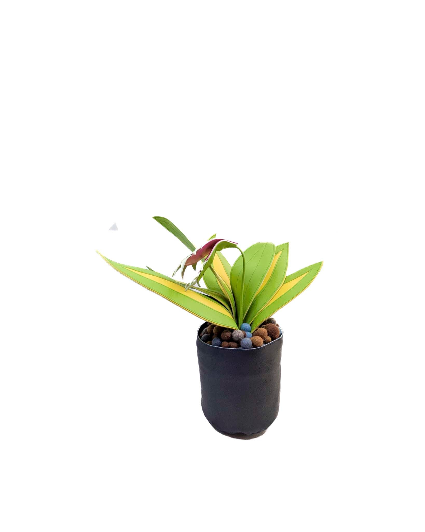 Large Fake Plant- Venus Fly Trap (Black Pot)