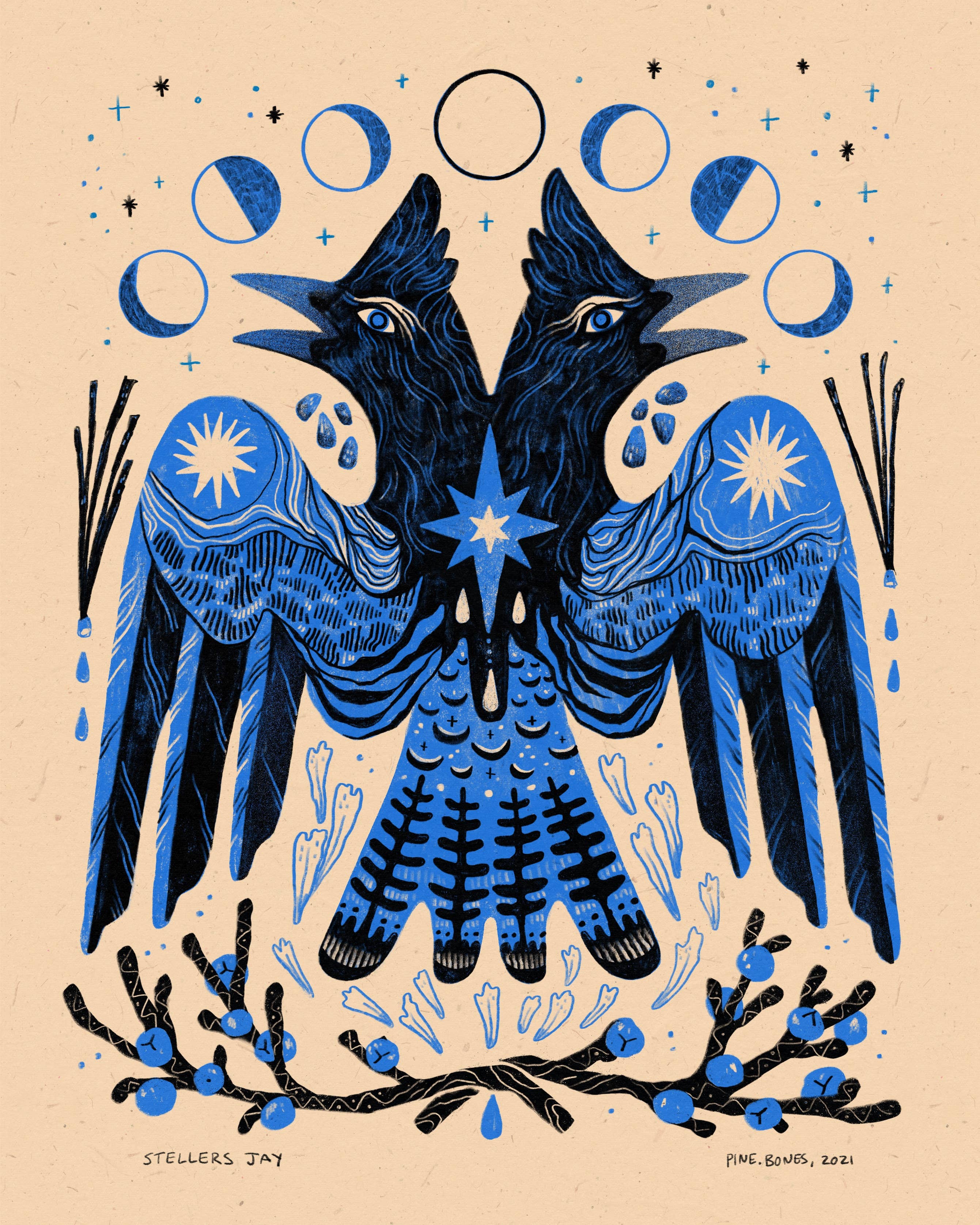 Stellers Jay - 8x10 Nature Wilderness Art Print 