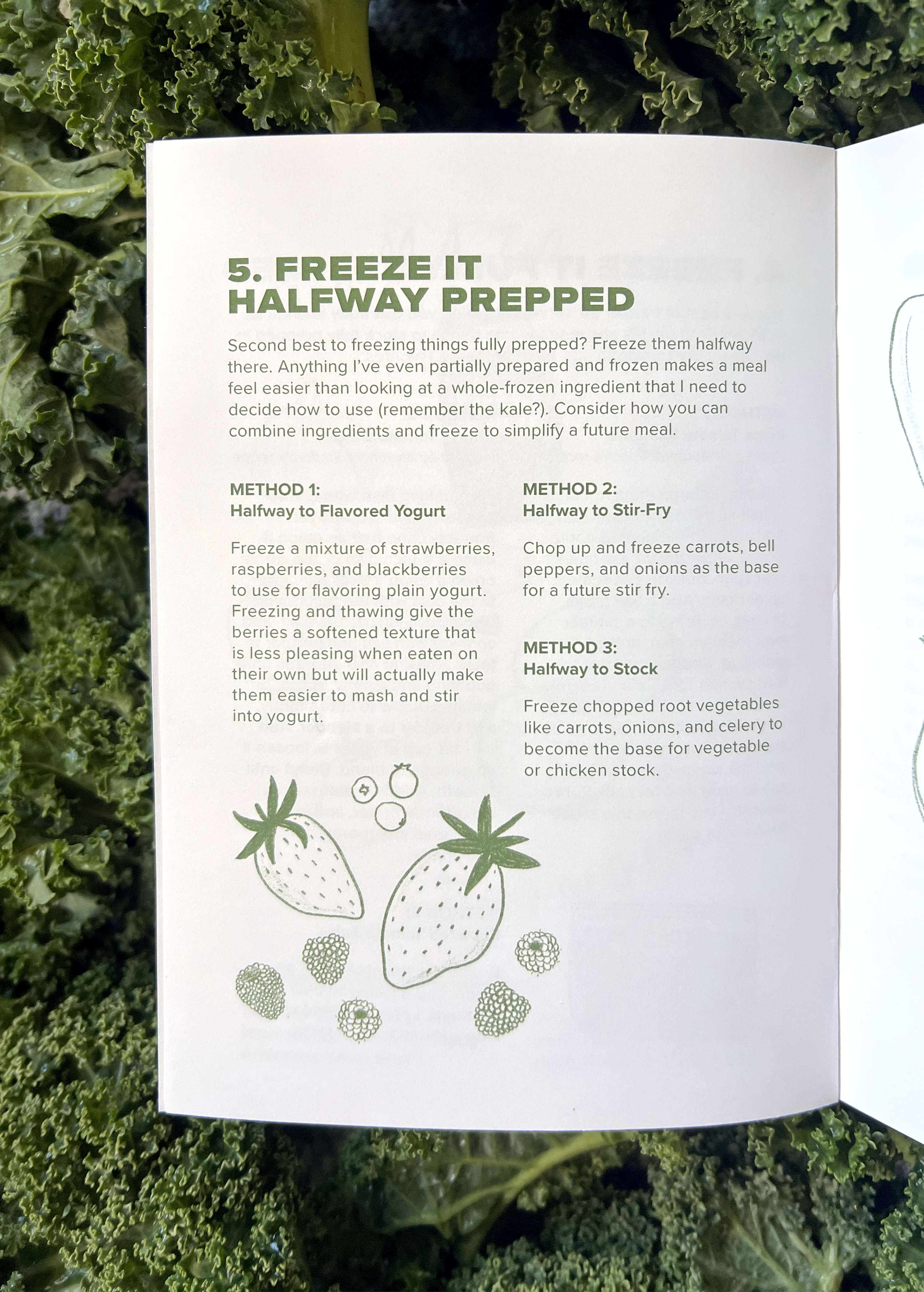 Minimalist Canning & Preserving Zine – Garden to Table