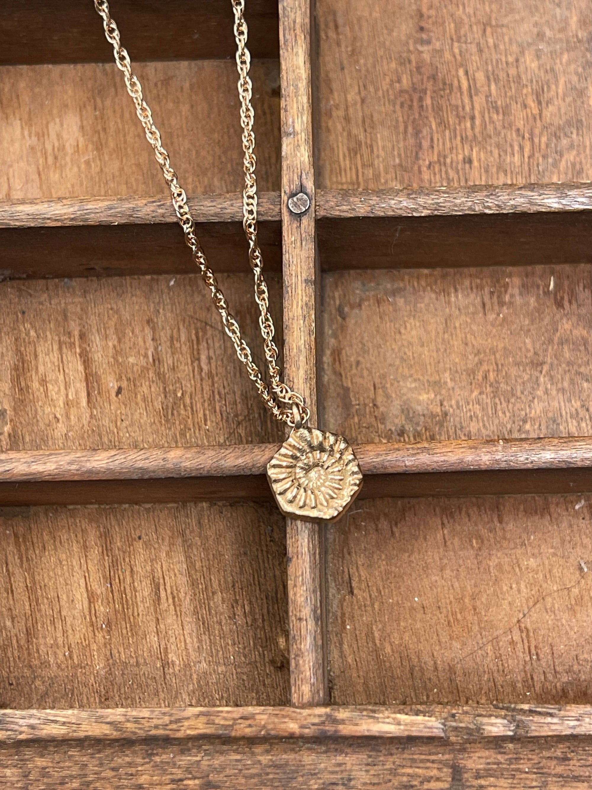 Ammonite Fossil Hexagonal Necklace -18” Chain, Bronze