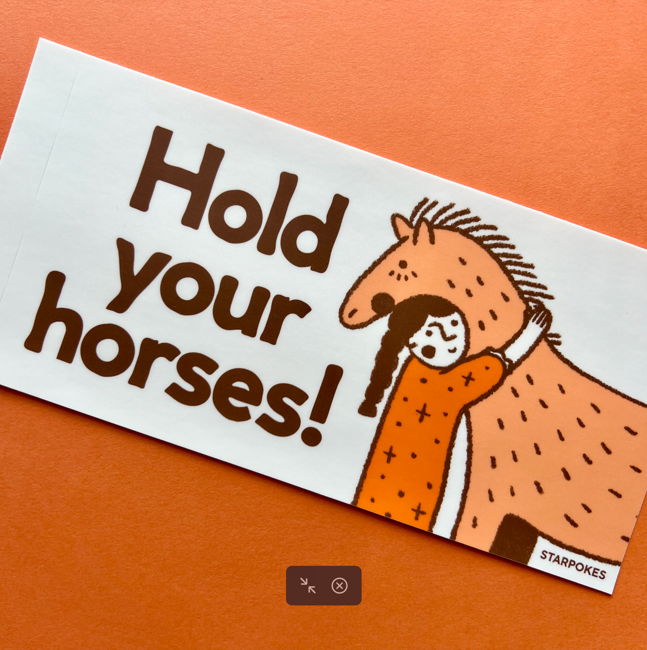Hold Your Horses Bumper Sticker