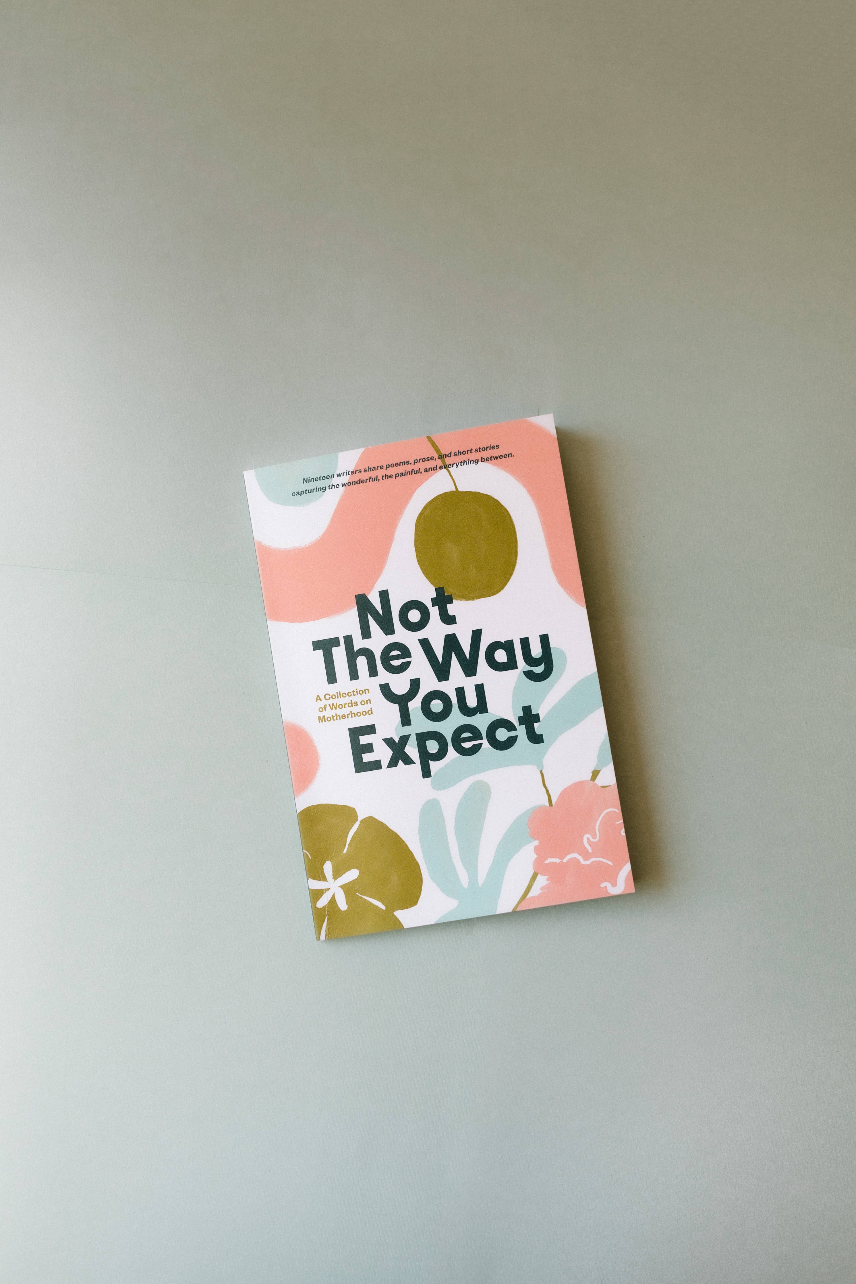 Not the Way You Expect Book, Voices on Motherhood