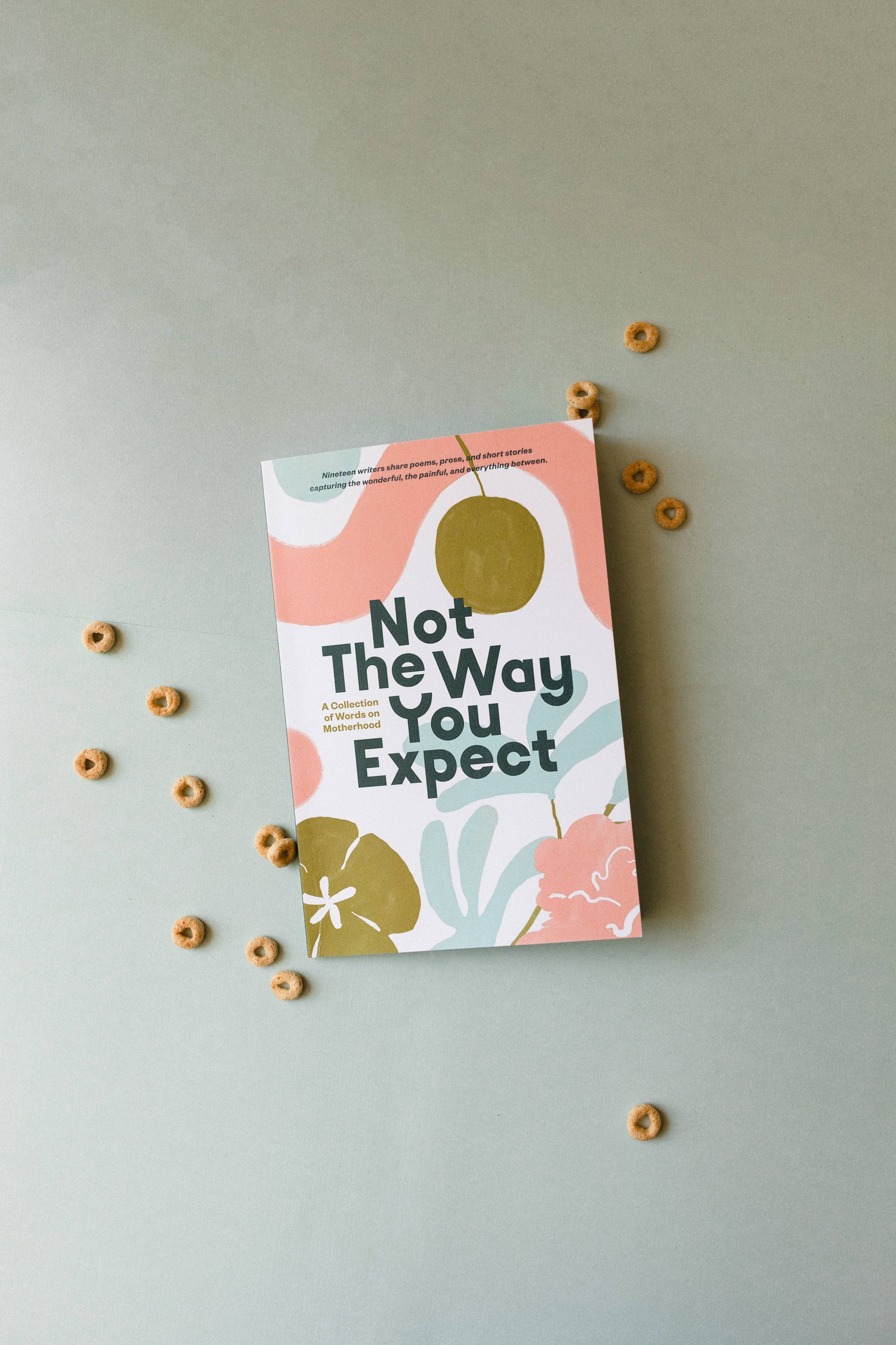 Not the Way You Expect Book, Voices on Motherhood