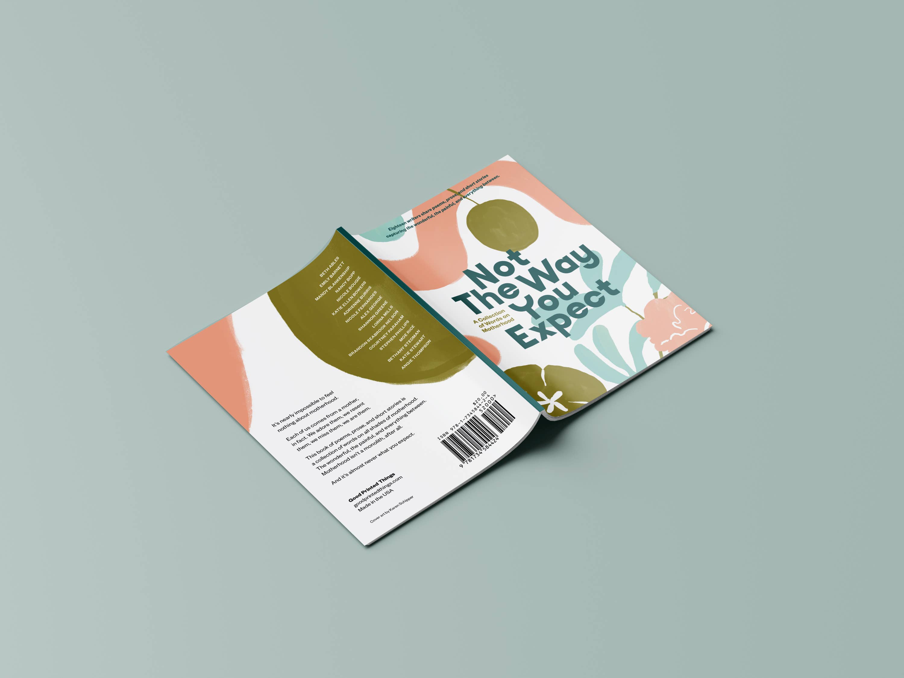 Not the Way You Expect Book, Voices on Motherhood