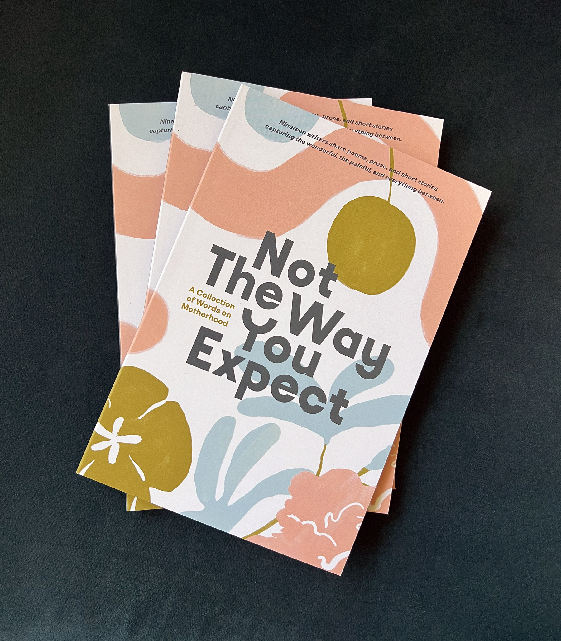 Not the Way You Expect Book, Voices on Motherhood