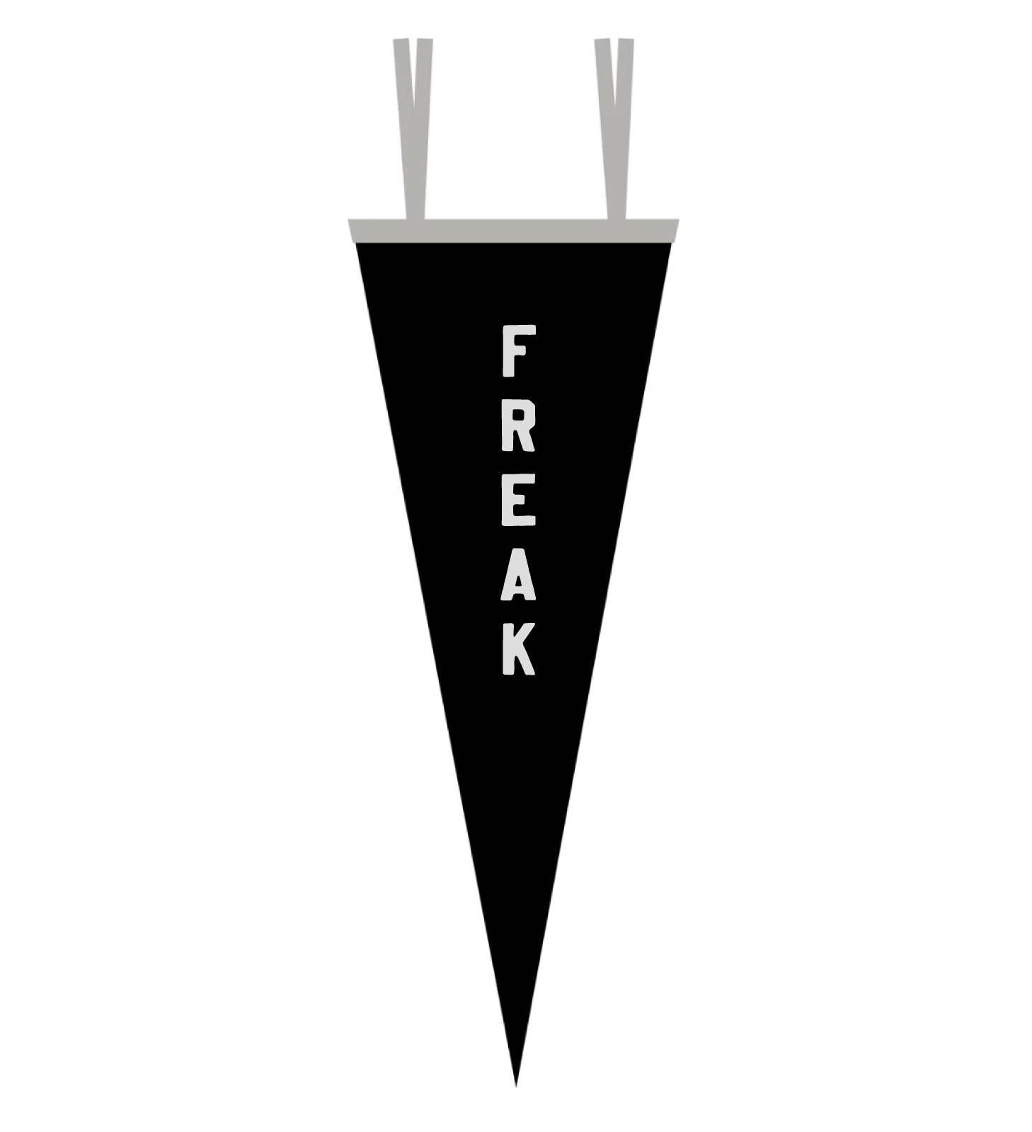 Freak Flag - Pennant flag