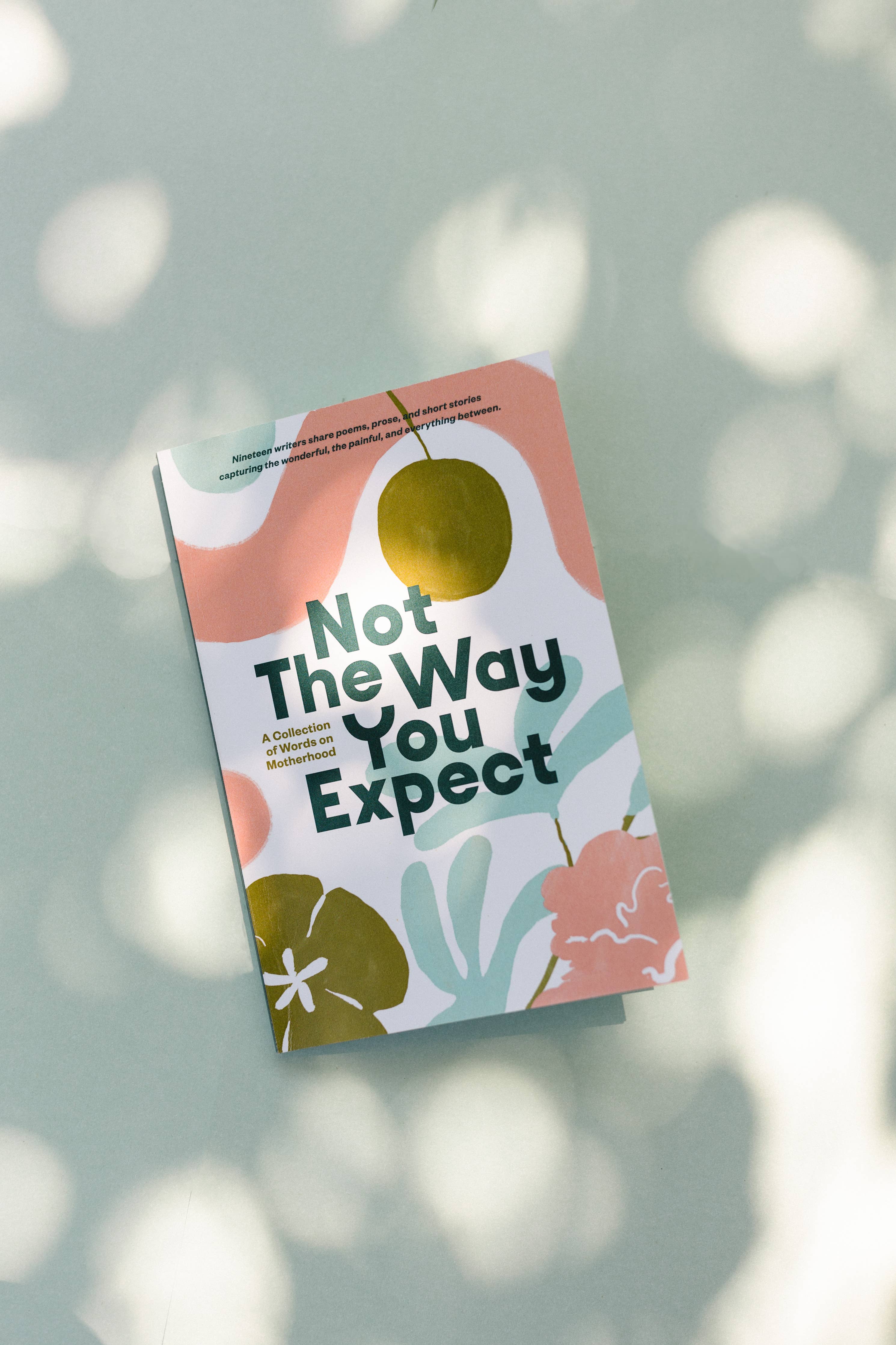 Not the Way You Expect Book, Voices on Motherhood