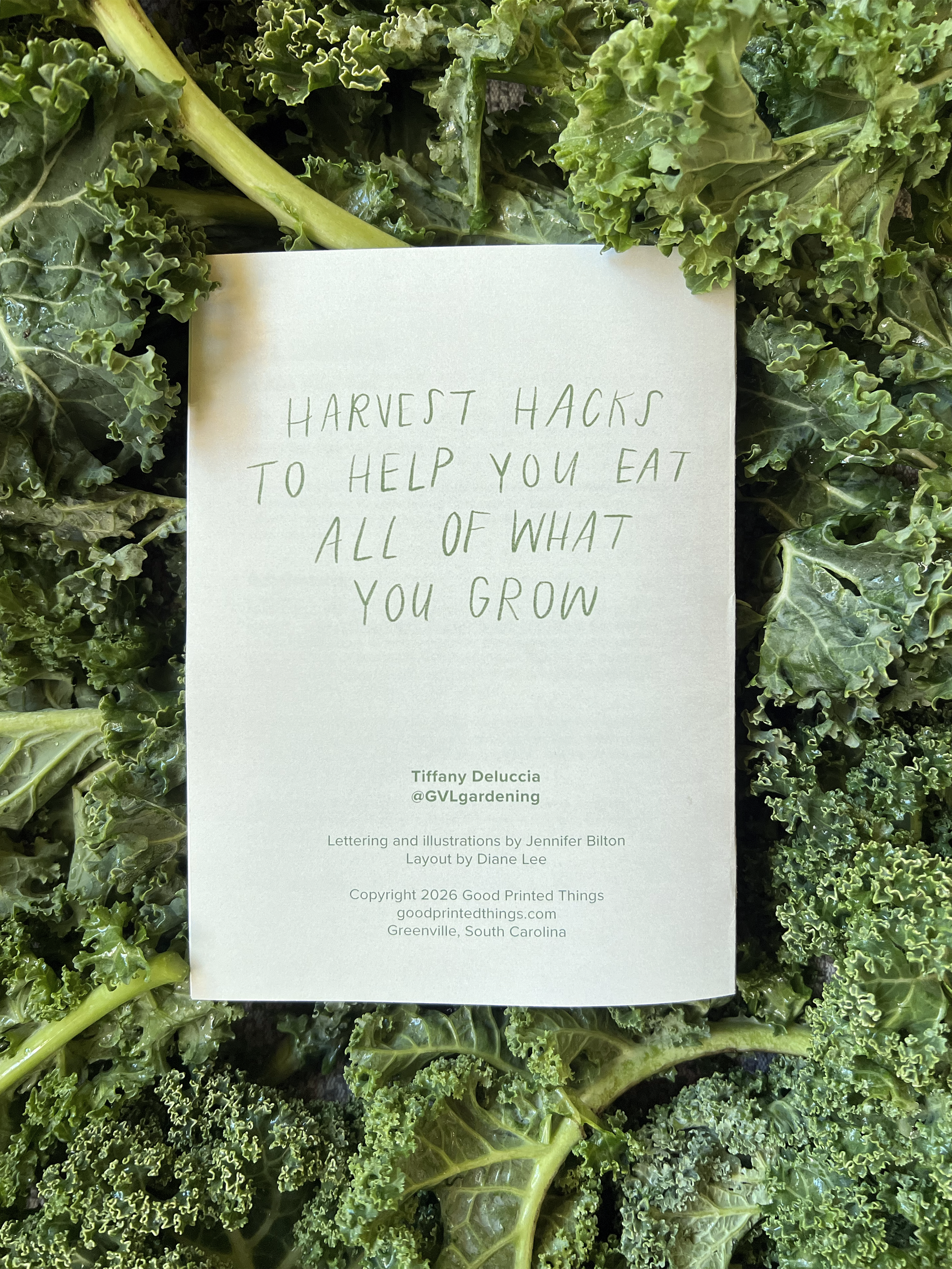 Minimalist Canning & Preserving Zine – Garden to Table
